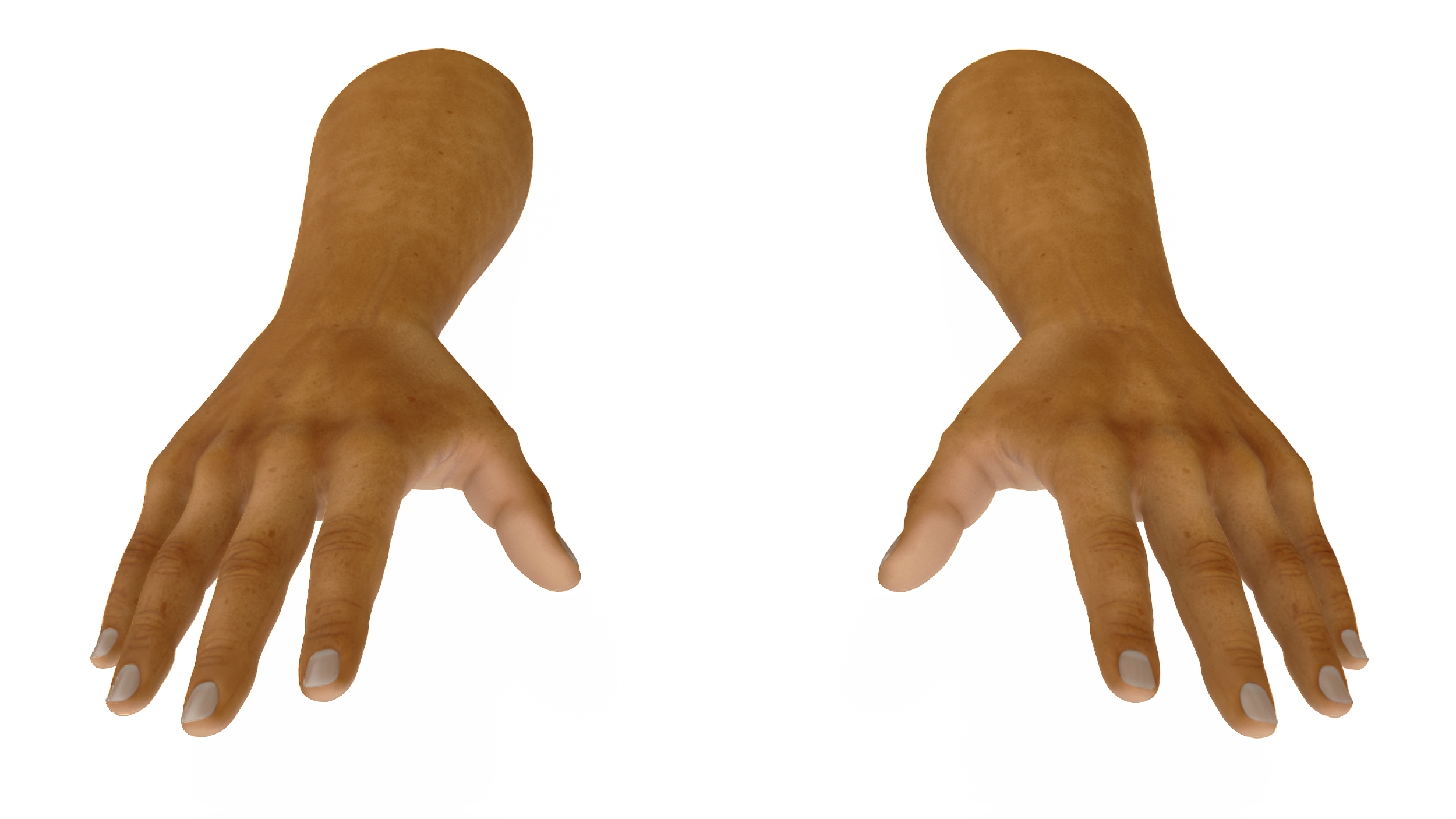 European Man Hands Rigged for Maya 3D model