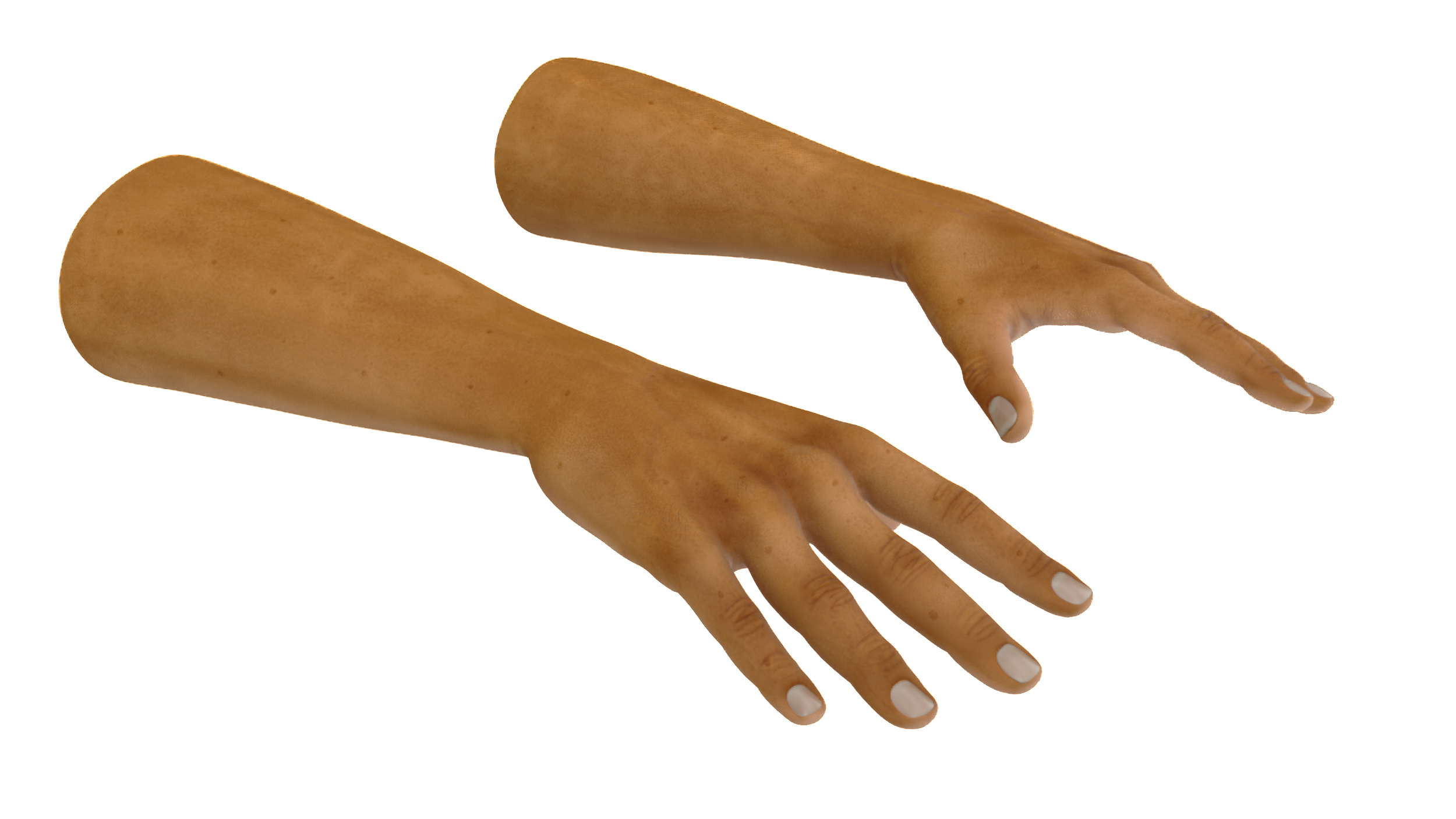 European Man Hands Rigged for Maya 3D model