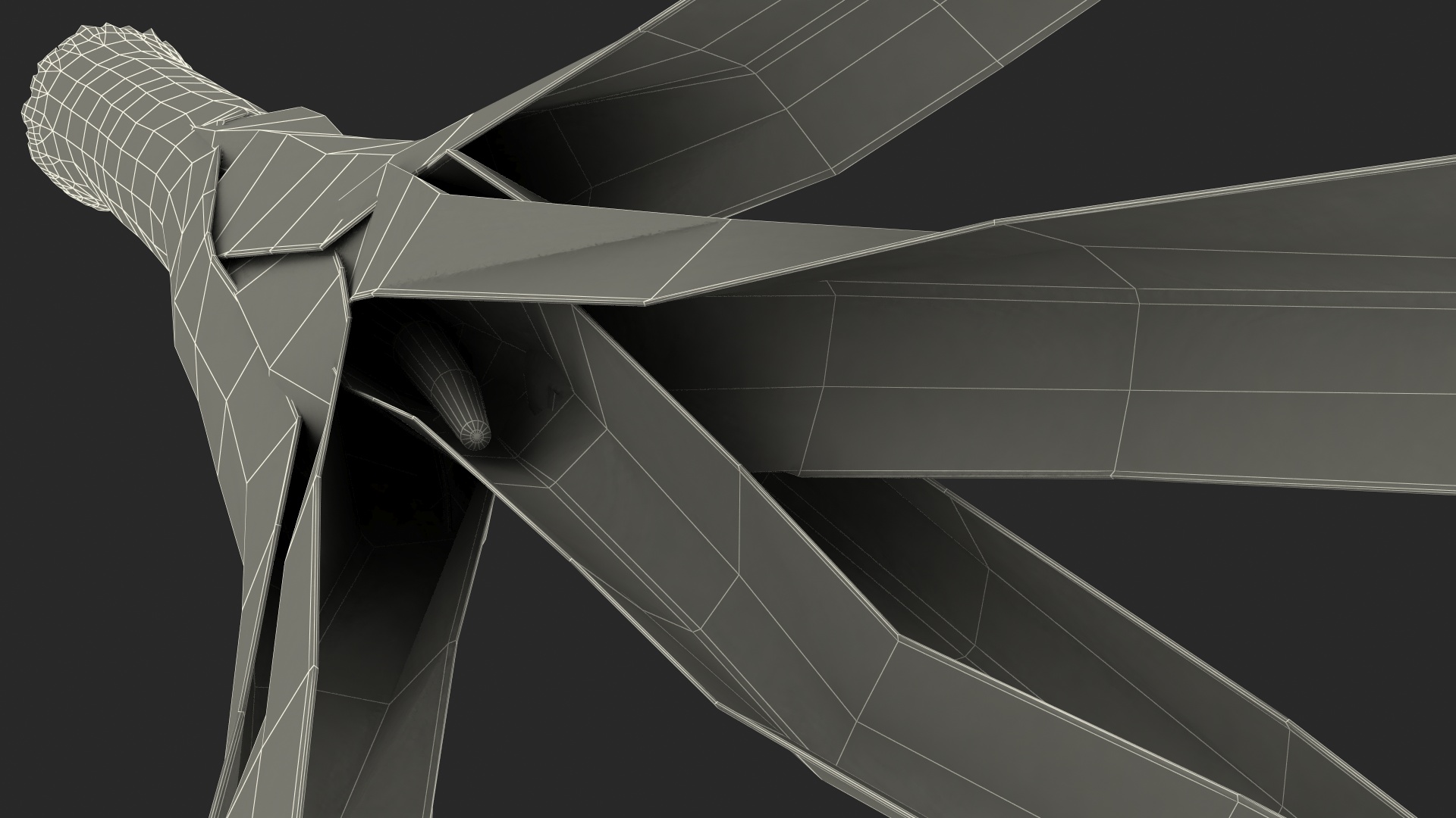 3D model Fresh Allium Porrum Leeks