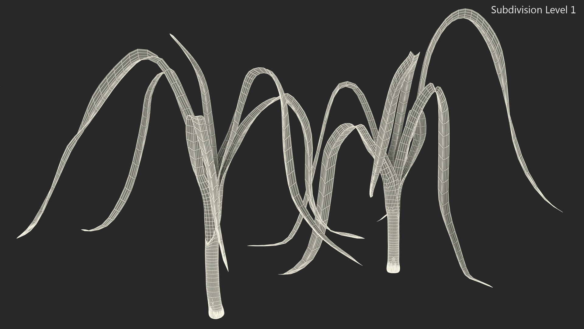 3D model Fresh Allium Porrum Leeks