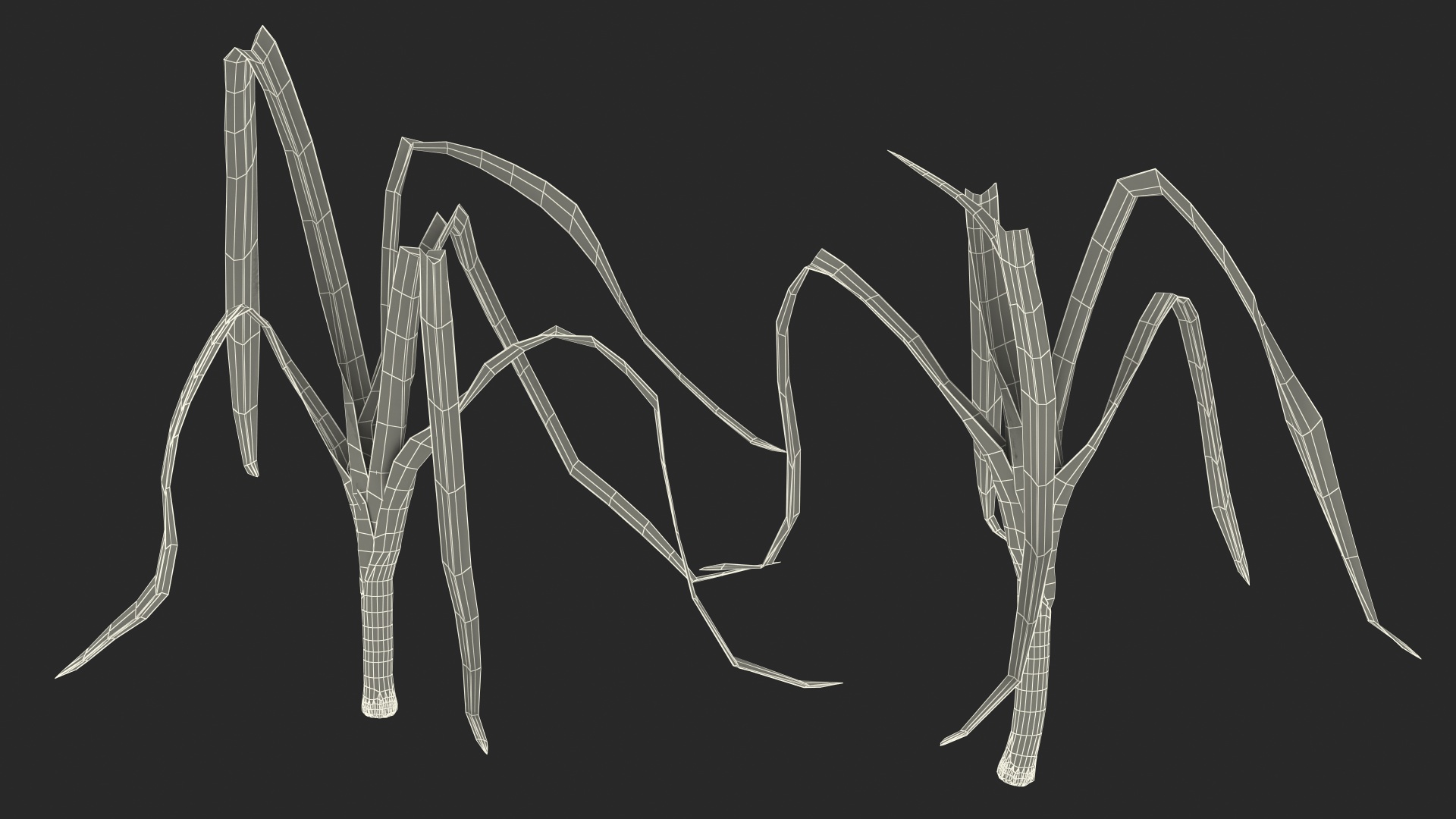 3D model Fresh Allium Porrum Leeks