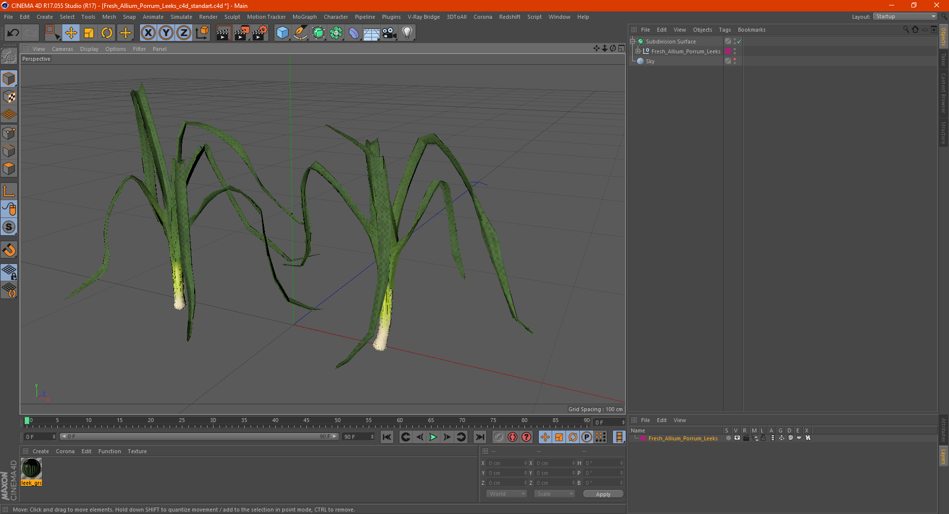 3D model Fresh Allium Porrum Leeks
