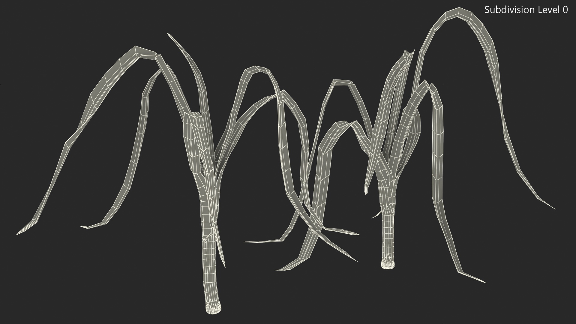 3D model Fresh Allium Porrum Leeks