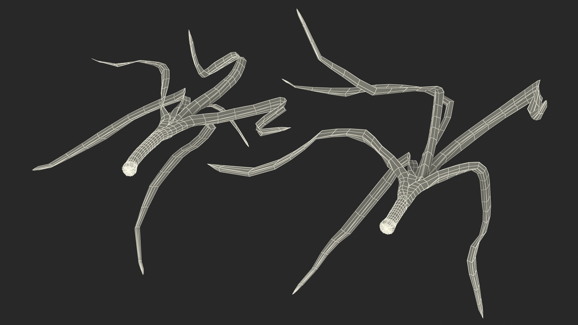 3D model Fresh Allium Porrum Leeks
