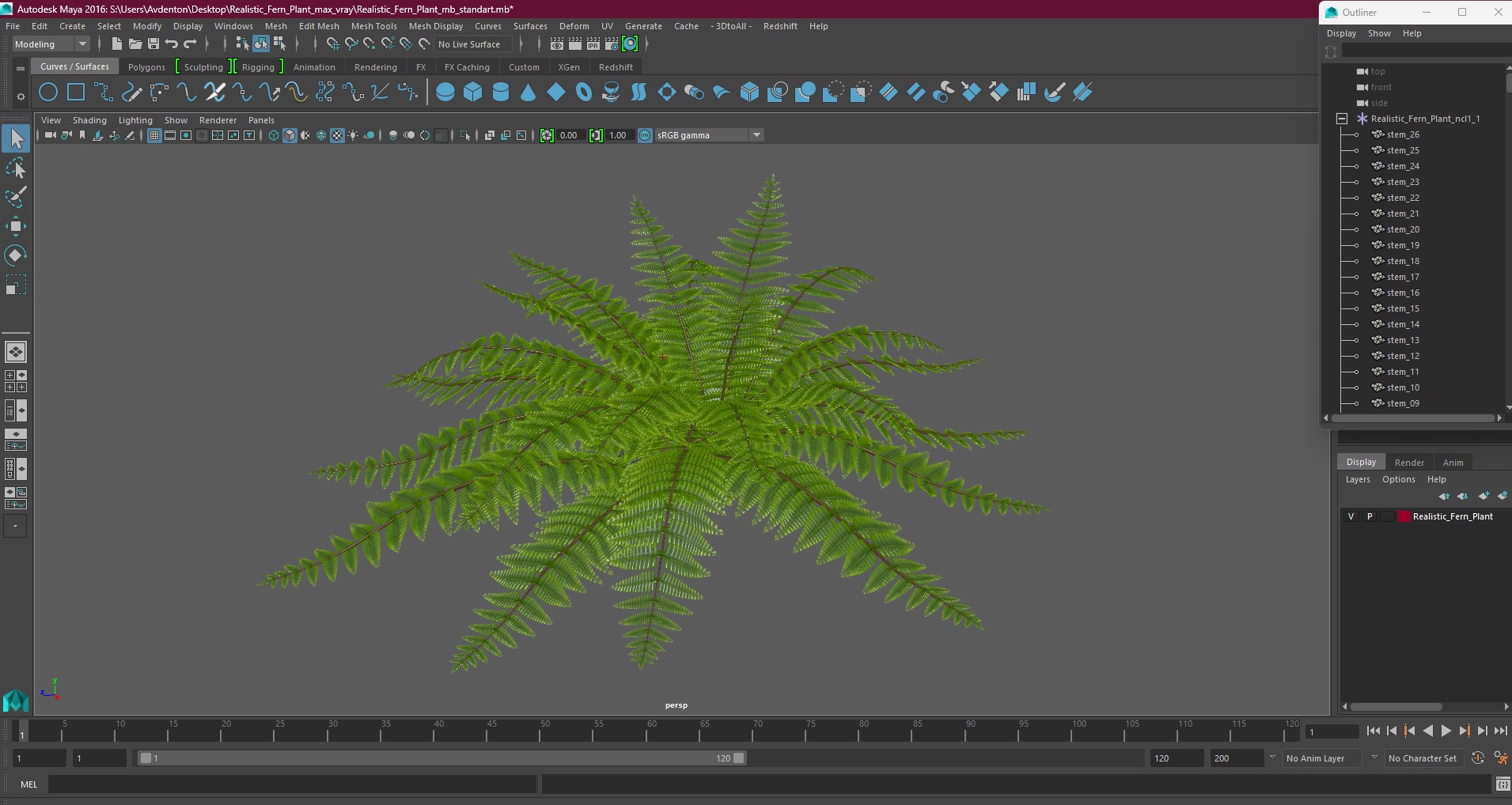 3D model Realistic Fern Plant