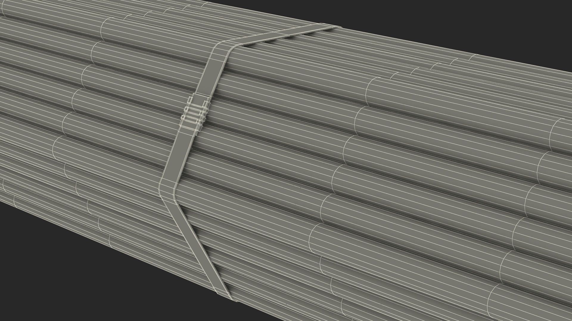Thin Plastic Pipes Bundle 2 Meters 3D model