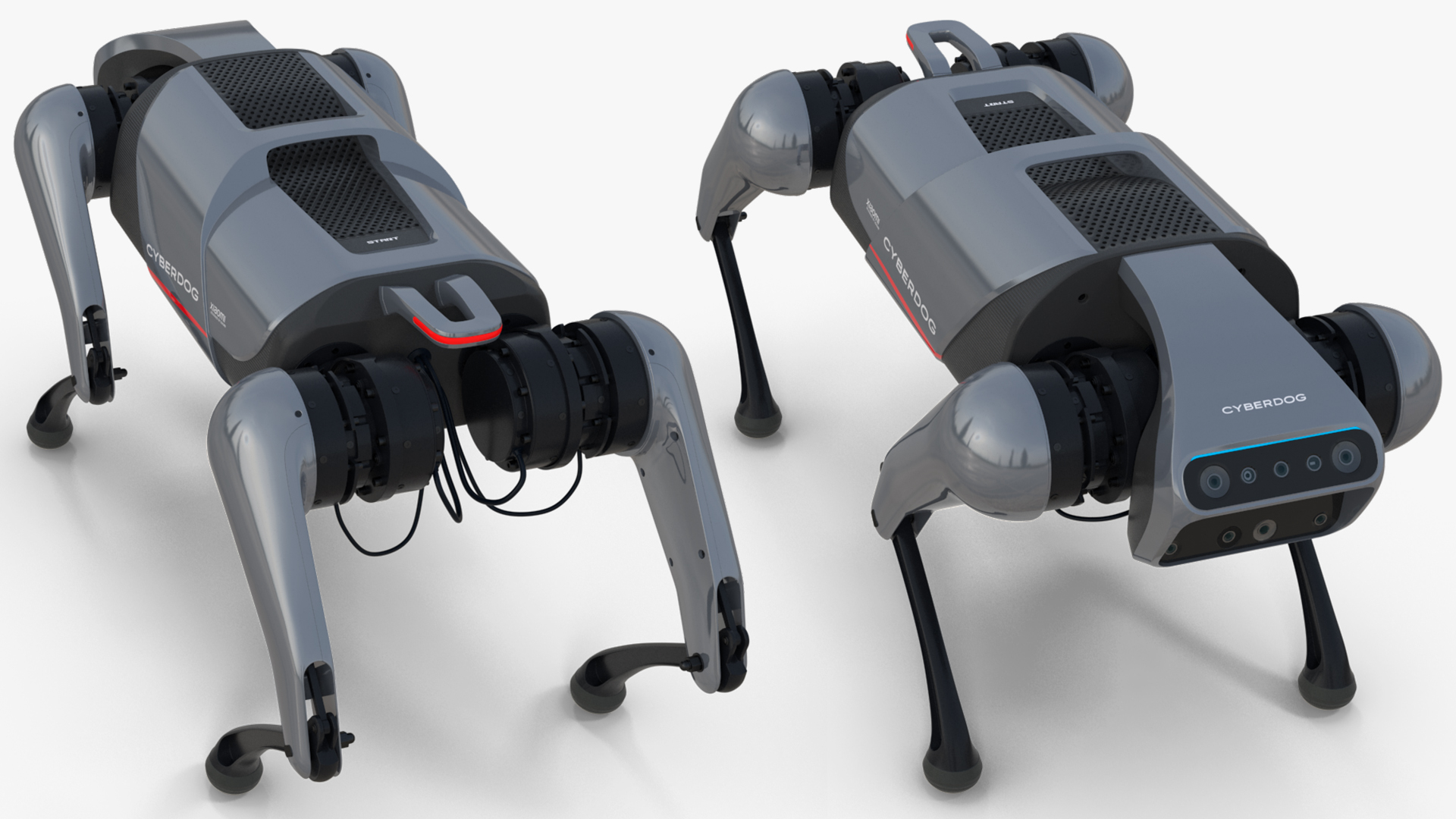 3D model Xiaomi Cyberdog