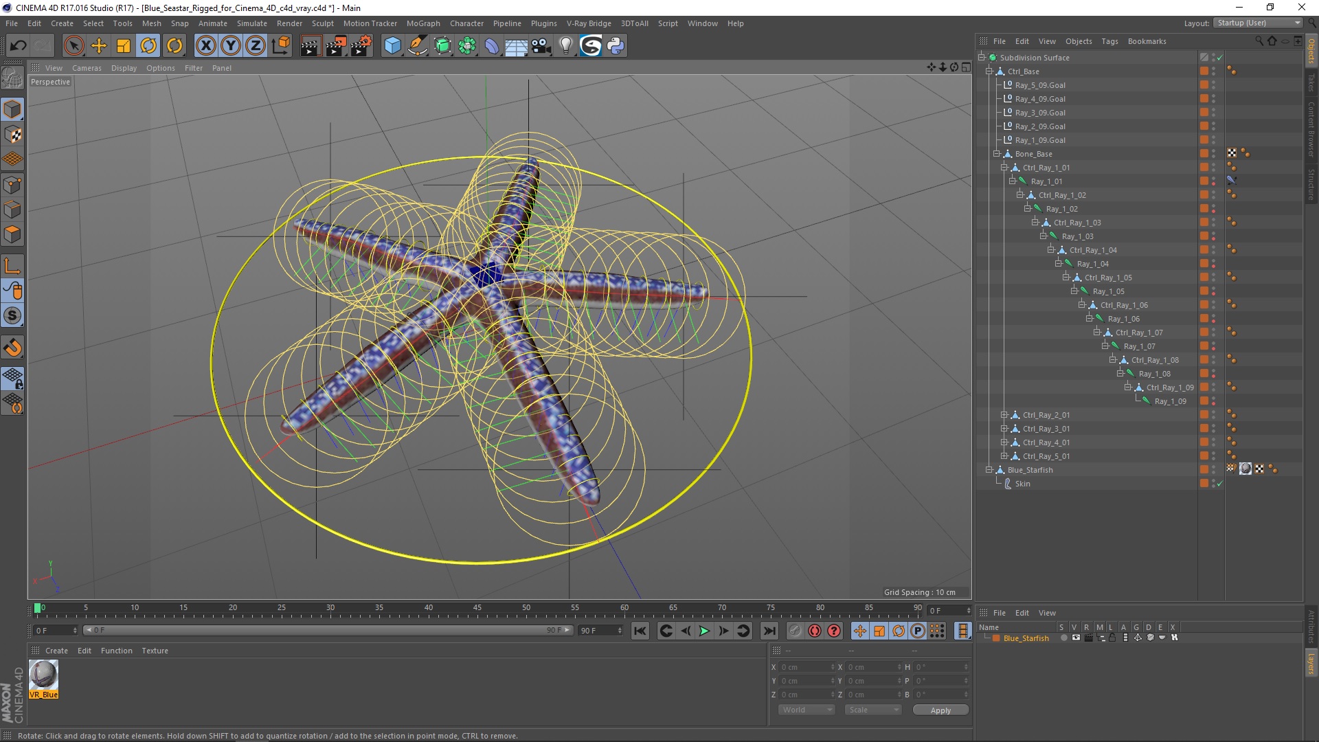 3D Blue Seastar Rigged for Cinema 4D model