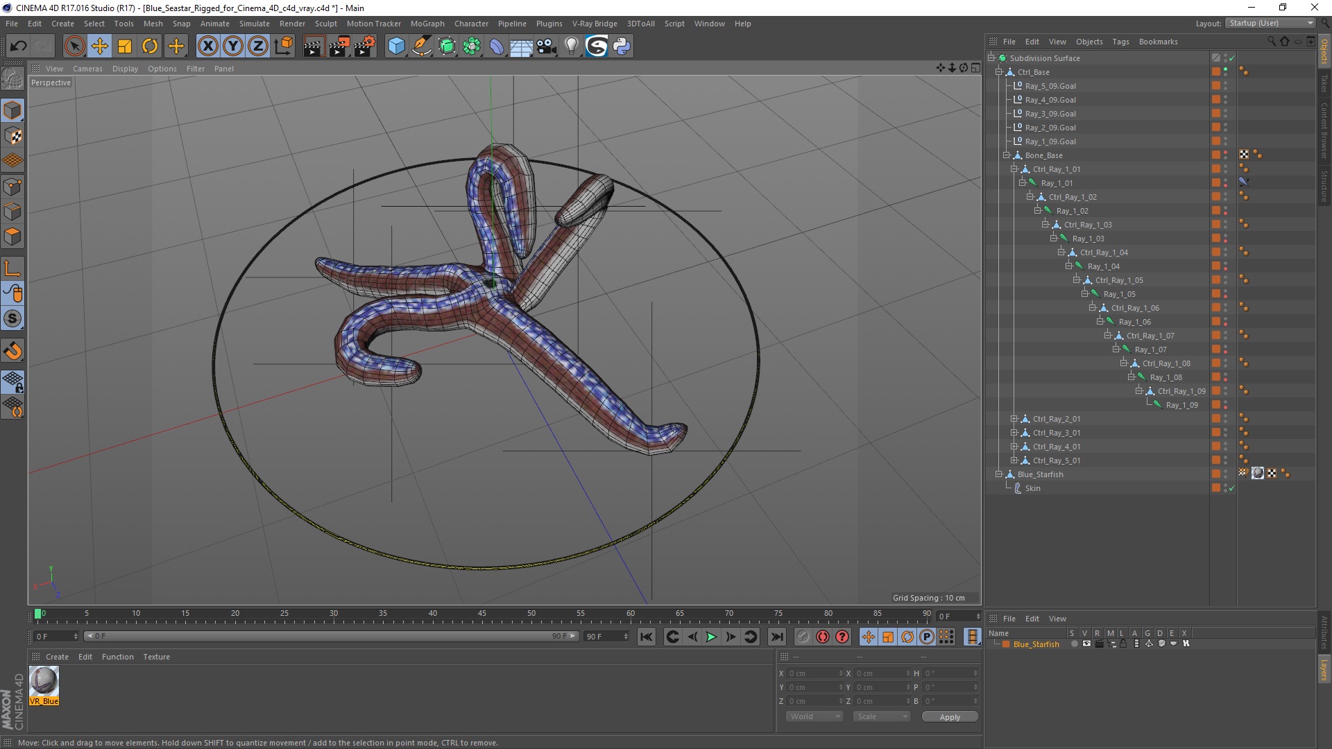 3D Blue Seastar Rigged for Cinema 4D model