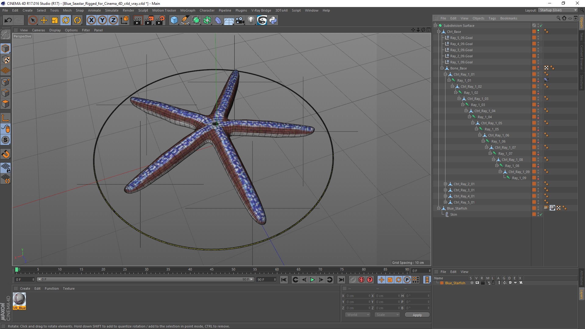 3D Blue Seastar Rigged for Cinema 4D model