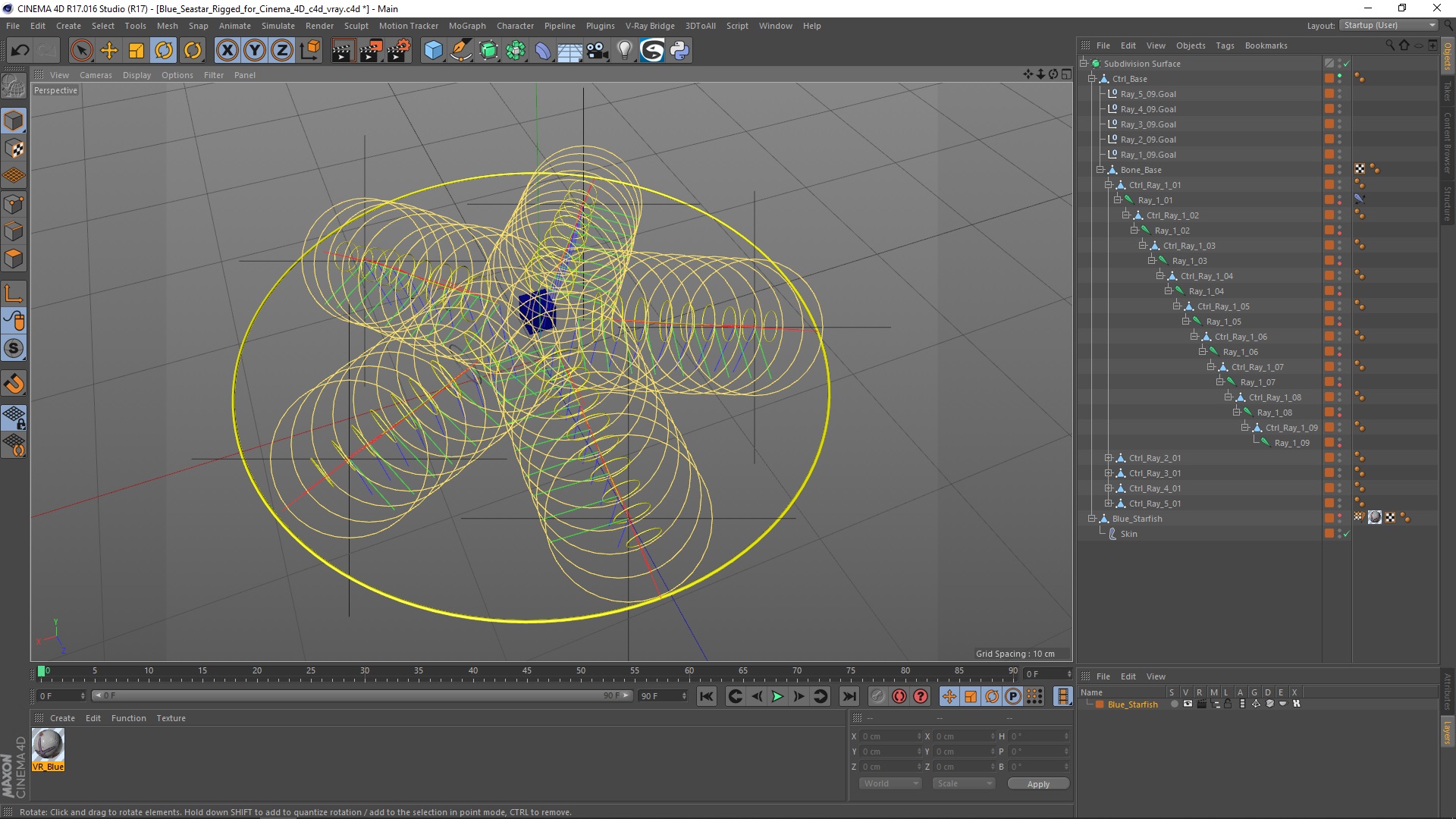3D Blue Seastar Rigged for Cinema 4D model