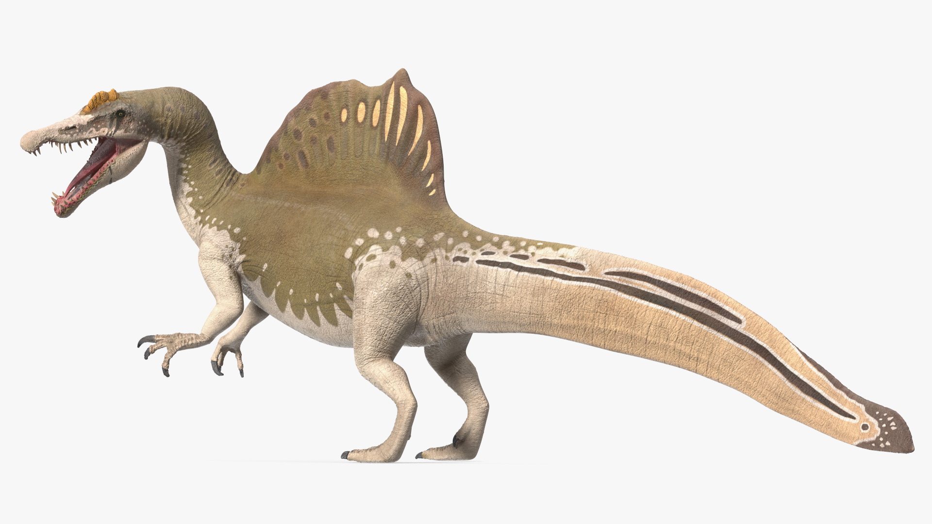 3D model Spinosaurus Dinosaur Yellow Roaring Pose