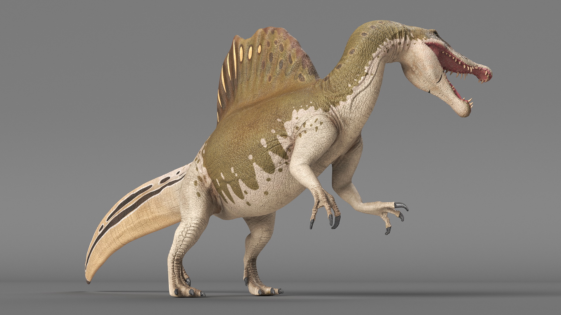 3D model Spinosaurus Dinosaur Yellow Roaring Pose