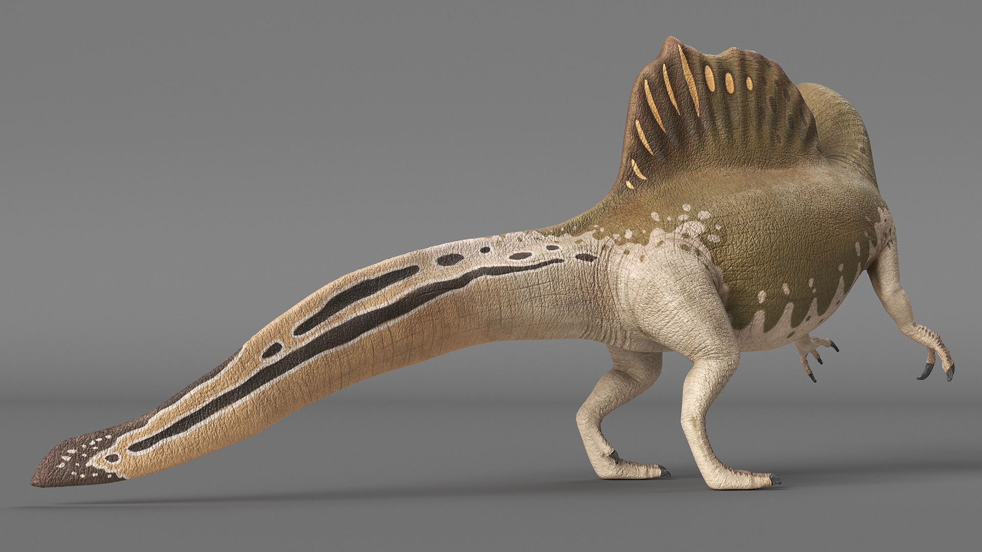 3D model Spinosaurus Dinosaur Yellow Roaring Pose