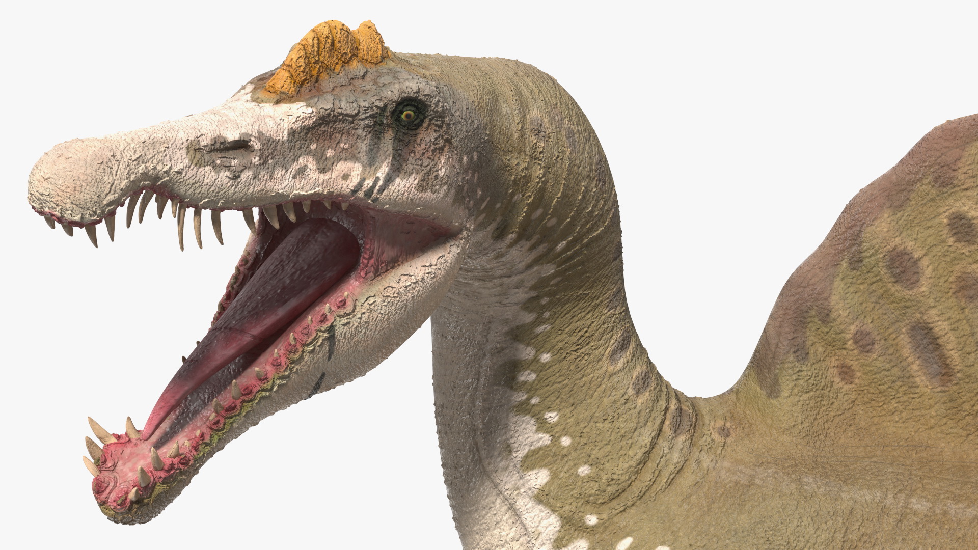 3D model Spinosaurus Dinosaur Yellow Roaring Pose