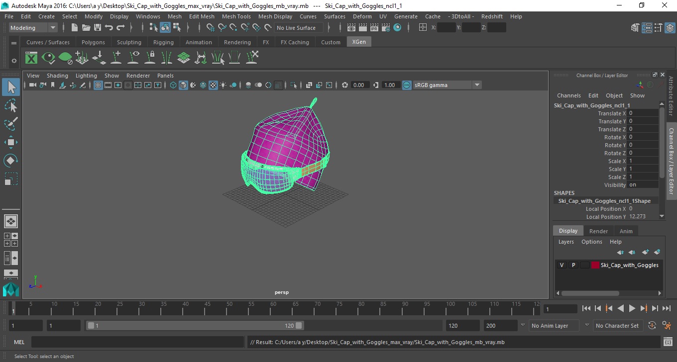 3D model Ski Cap with Goggles