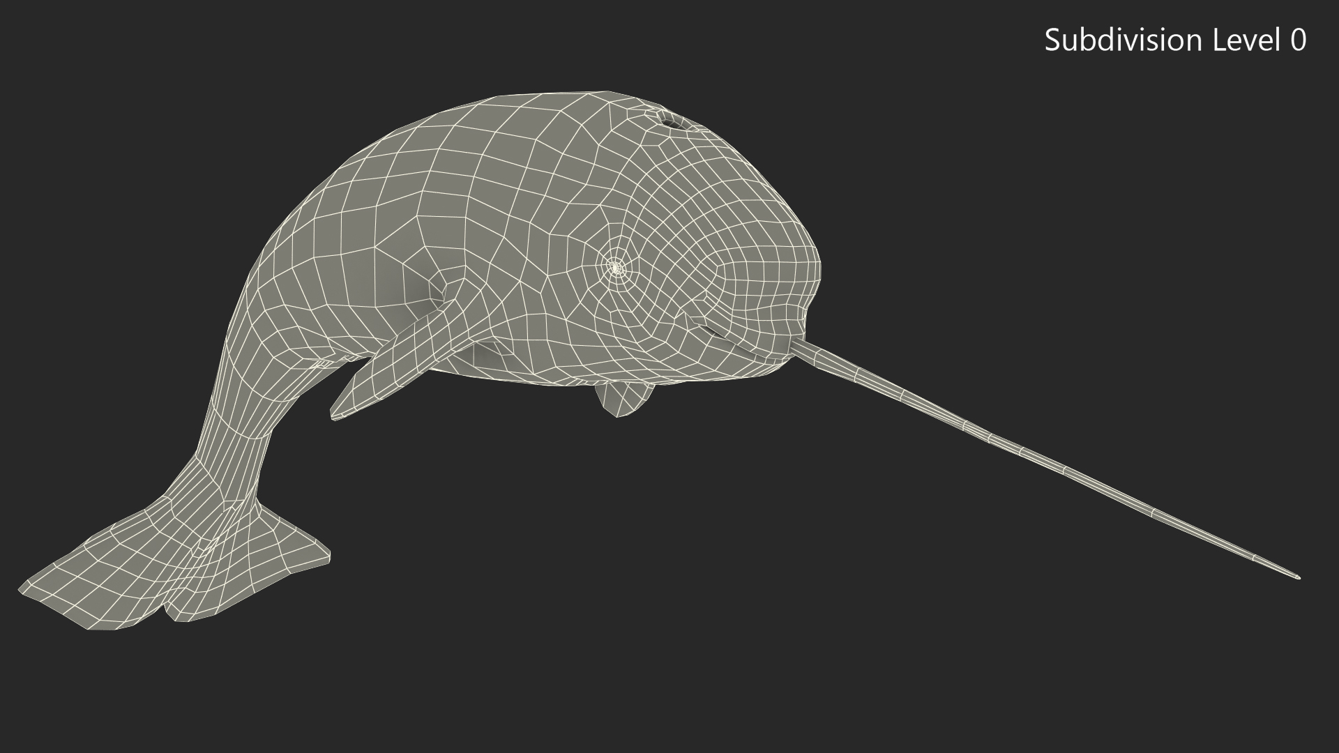 Narwhal Jumping out Pose 3D model