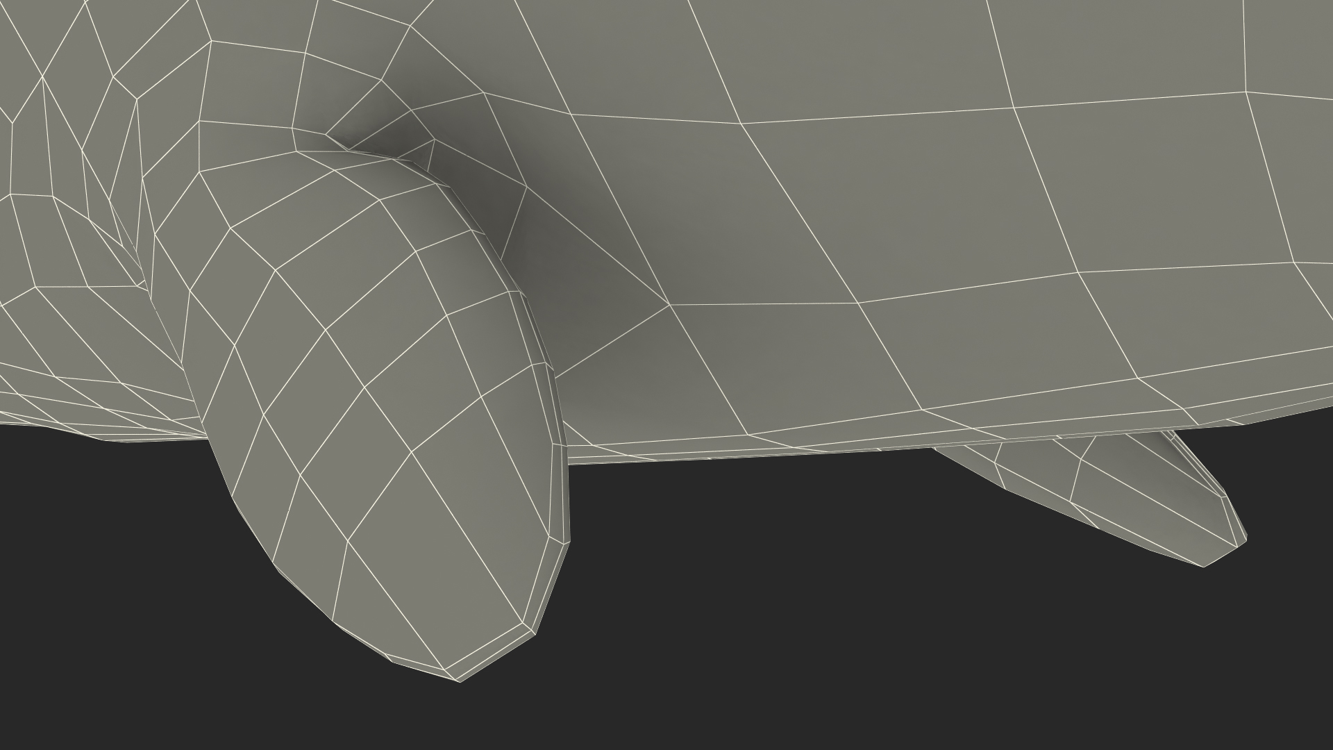Narwhal Jumping out Pose 3D model