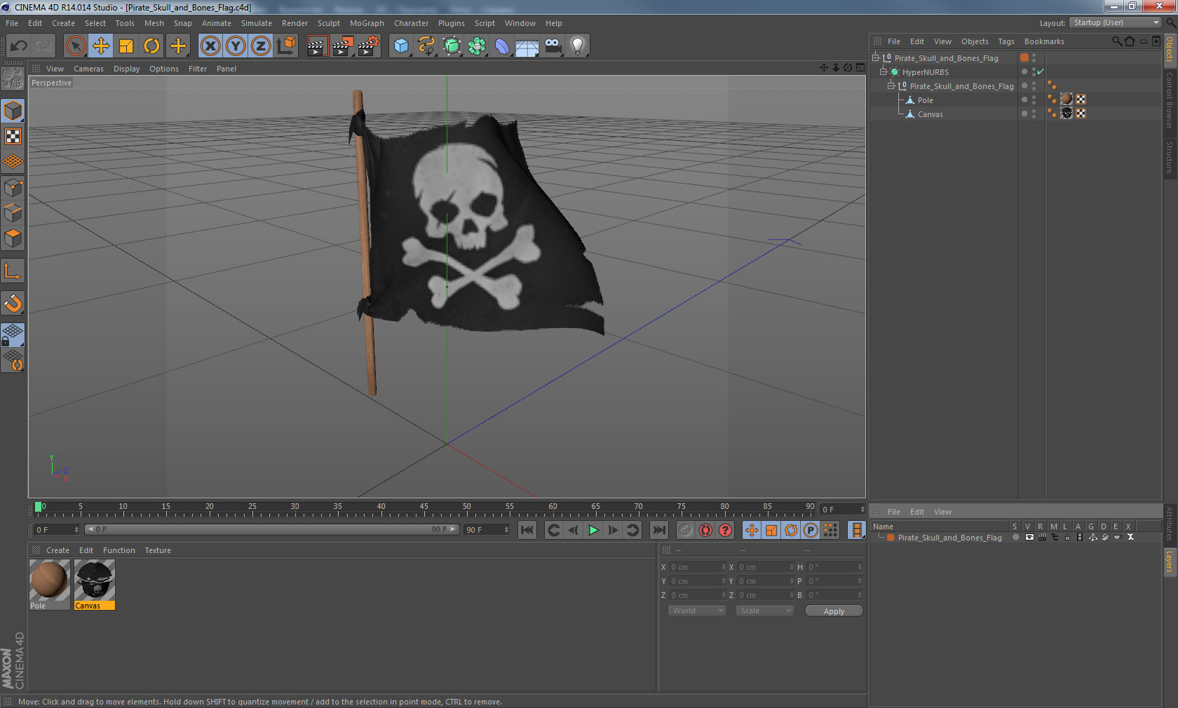 Pirate Skull and Bones Flag 3D