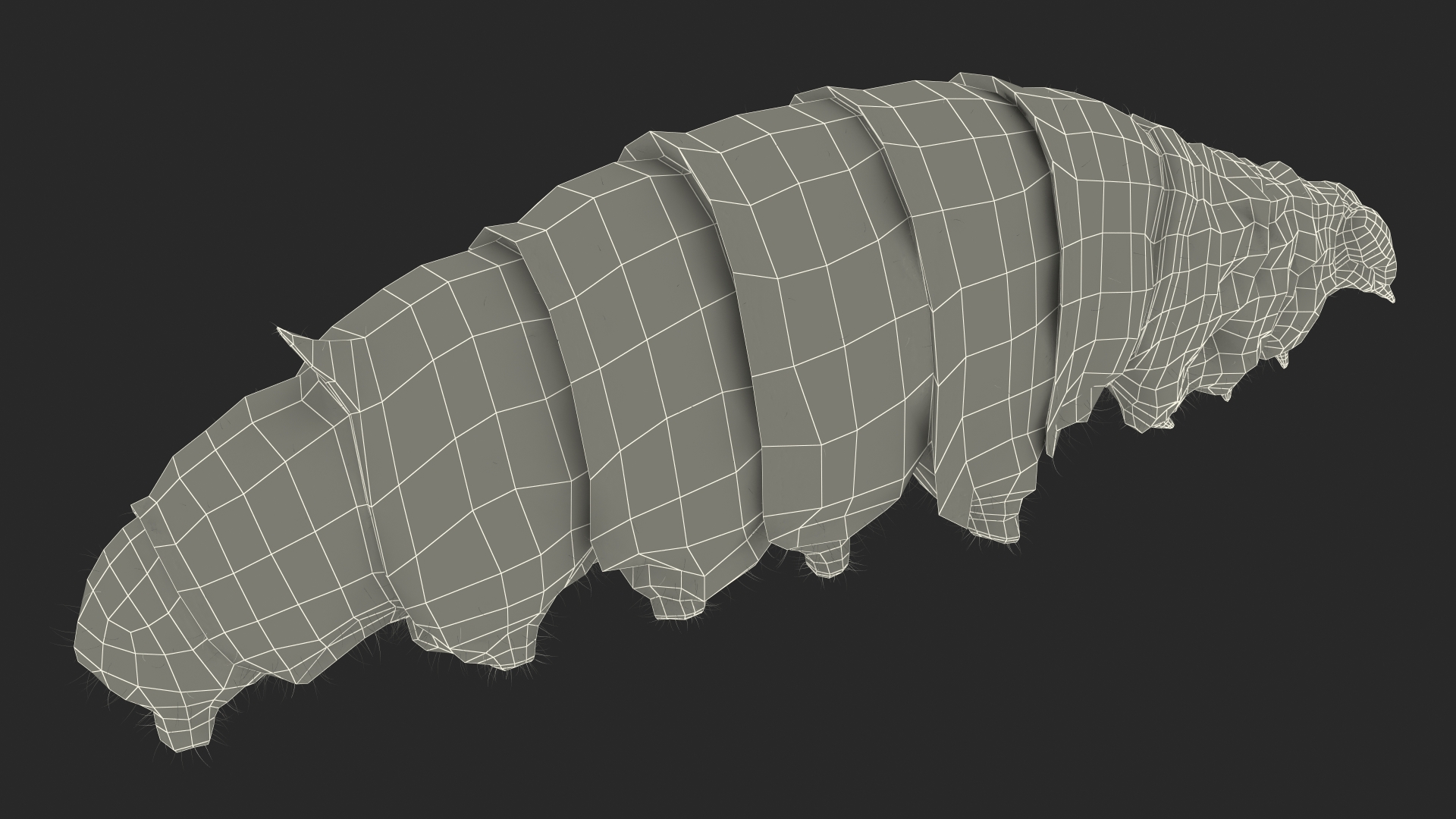 3D Silkworm White Fur model