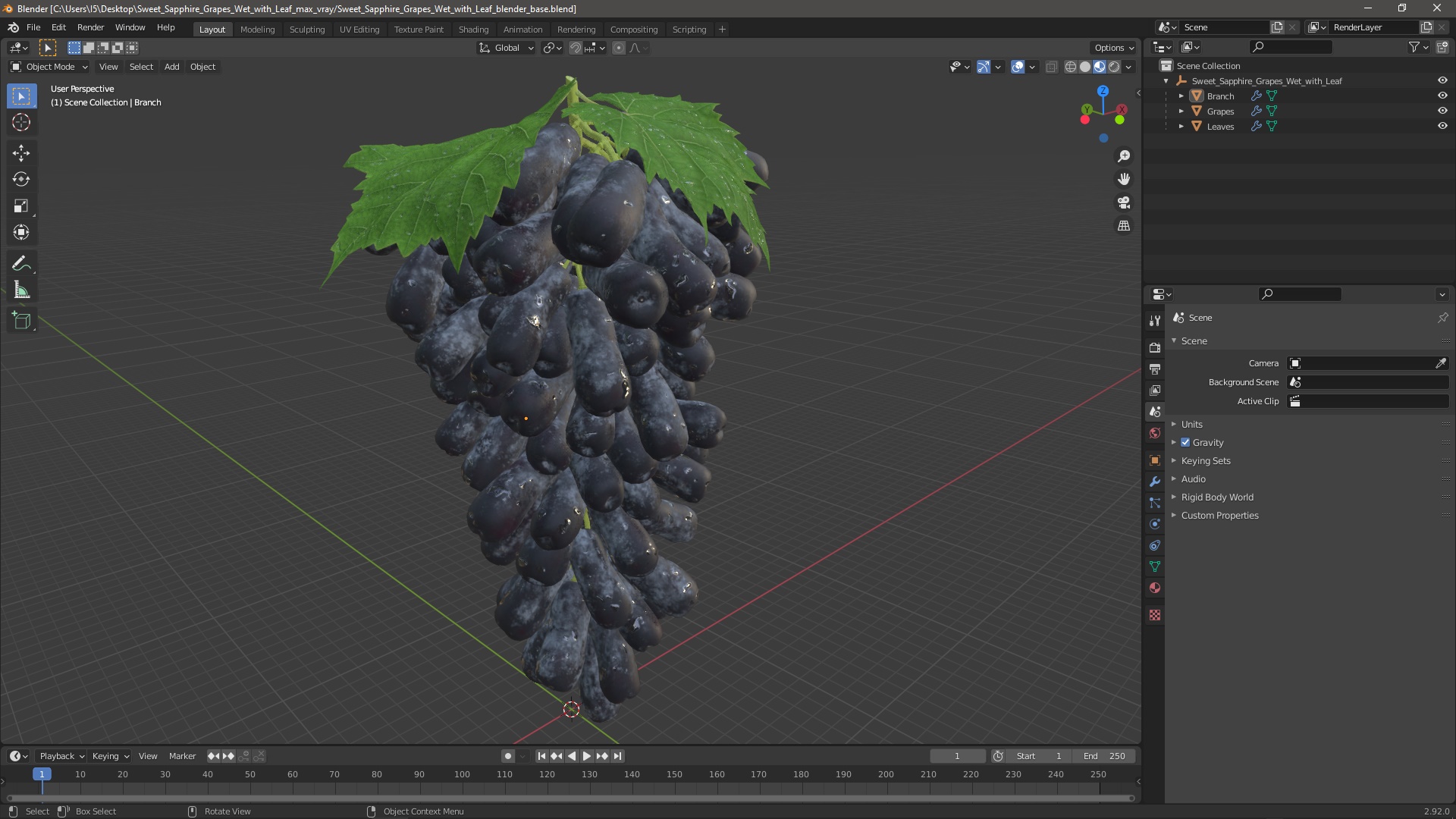 3D model Sweet Sapphire Grapes Wet with Leaf