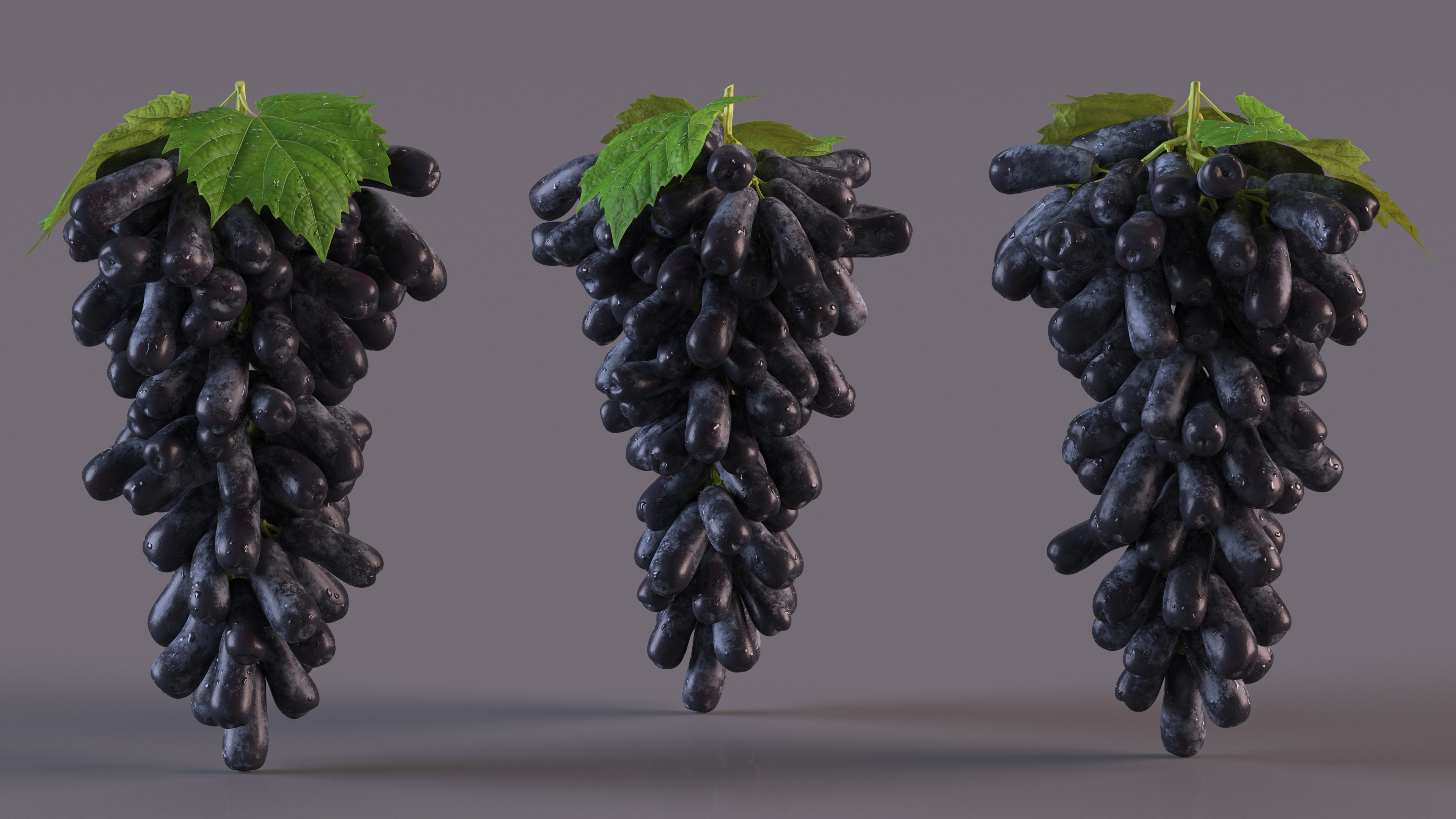 3D model Sweet Sapphire Grapes Wet with Leaf