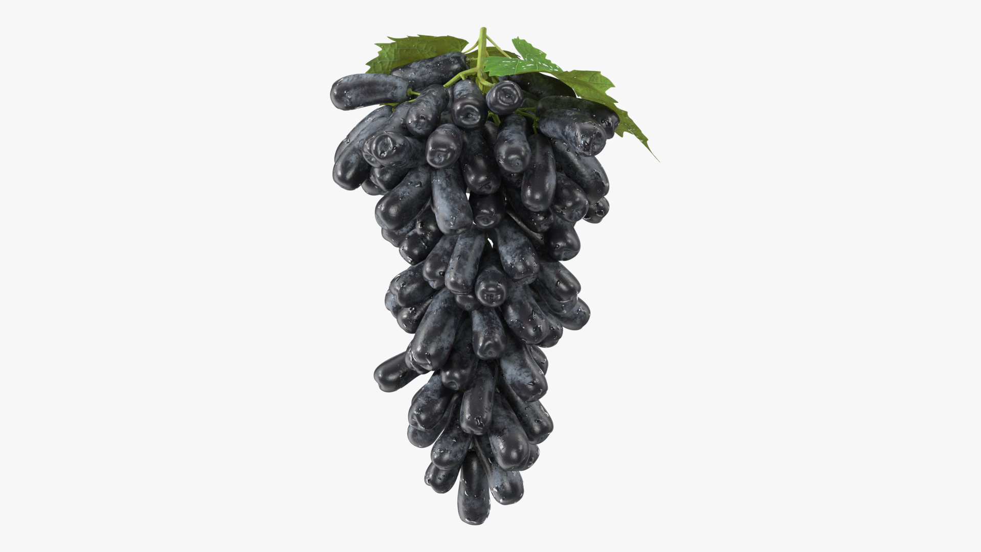 3D model Sweet Sapphire Grapes Wet with Leaf