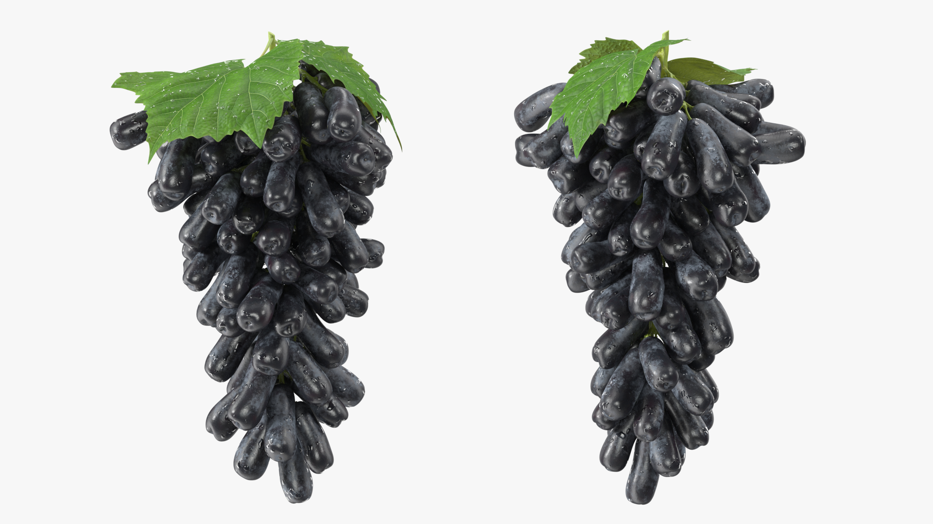3D model Sweet Sapphire Grapes Wet with Leaf