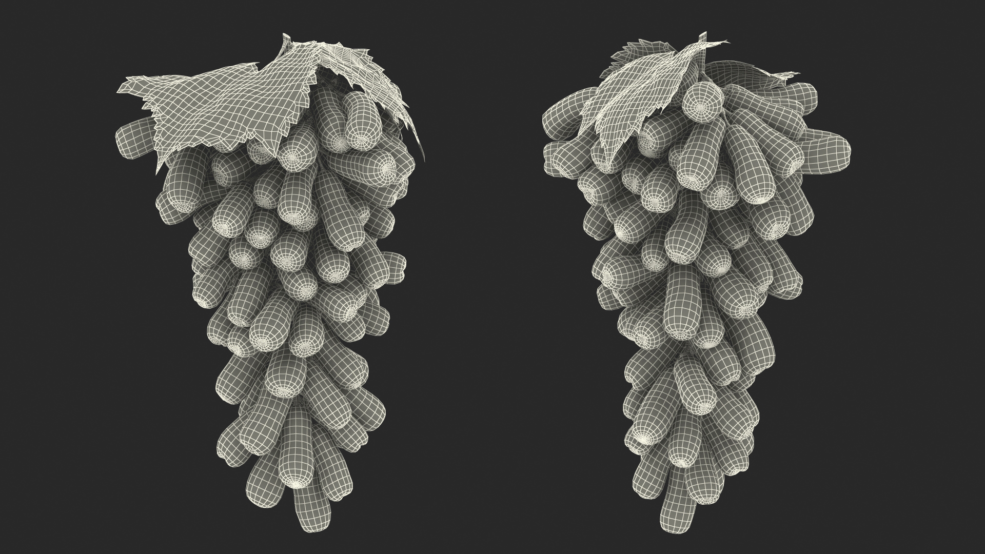 3D model Sweet Sapphire Grapes Wet with Leaf