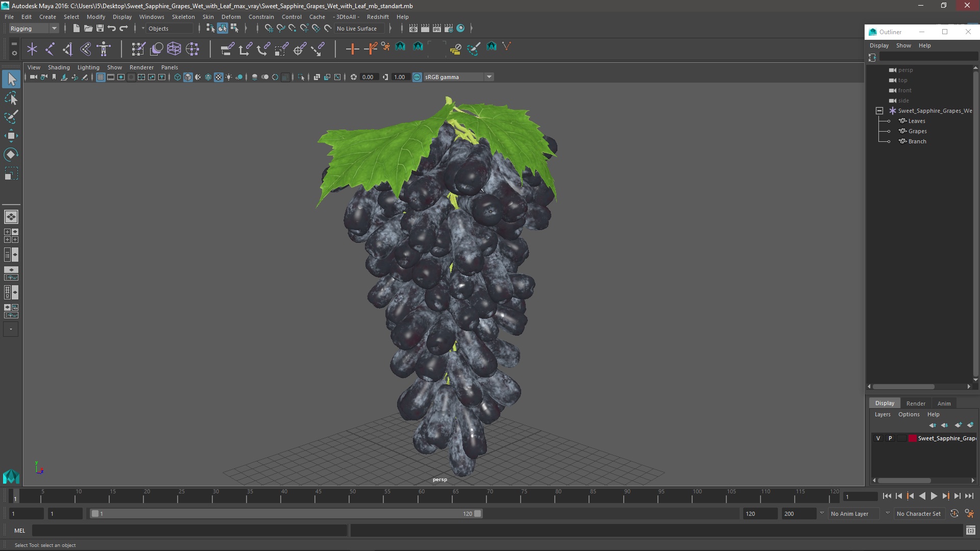 3D model Sweet Sapphire Grapes Wet with Leaf