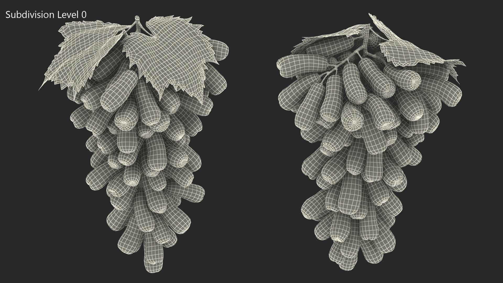 3D model Sweet Sapphire Grapes Wet with Leaf