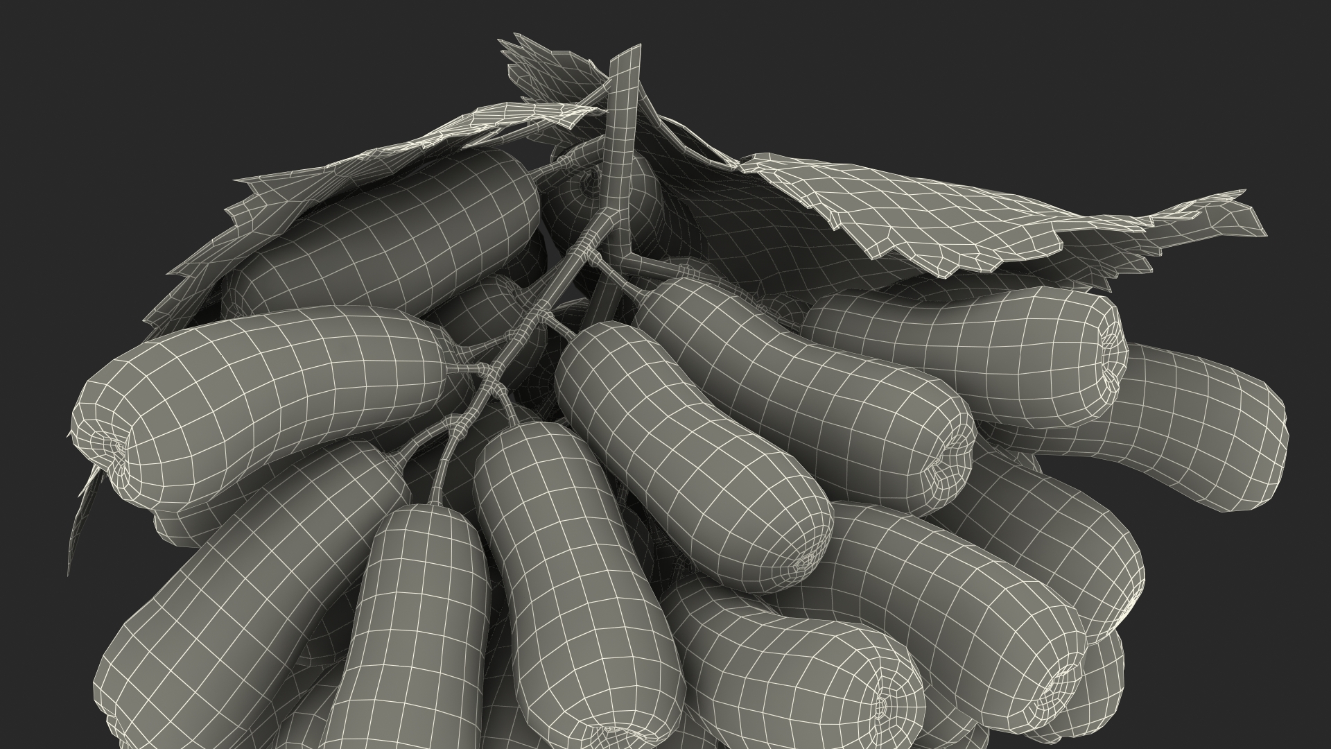 3D model Sweet Sapphire Grapes Wet with Leaf