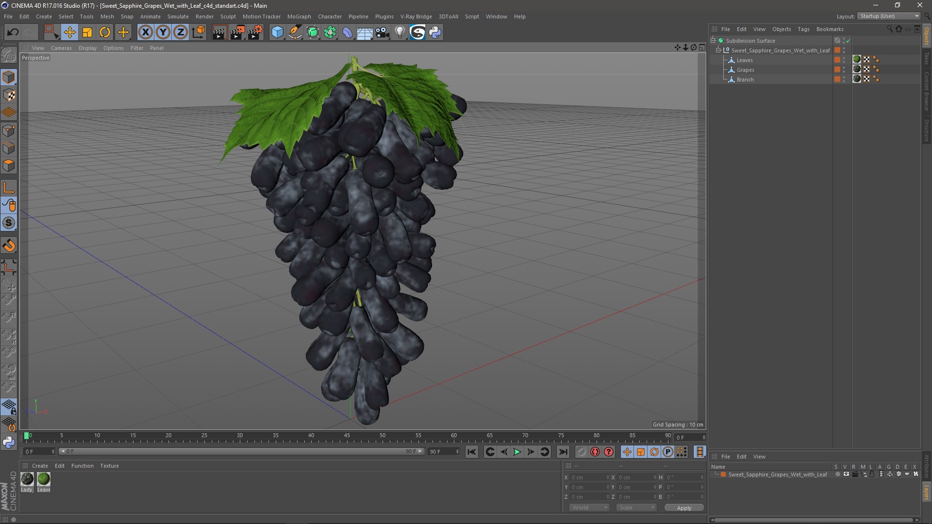 3D model Sweet Sapphire Grapes Wet with Leaf