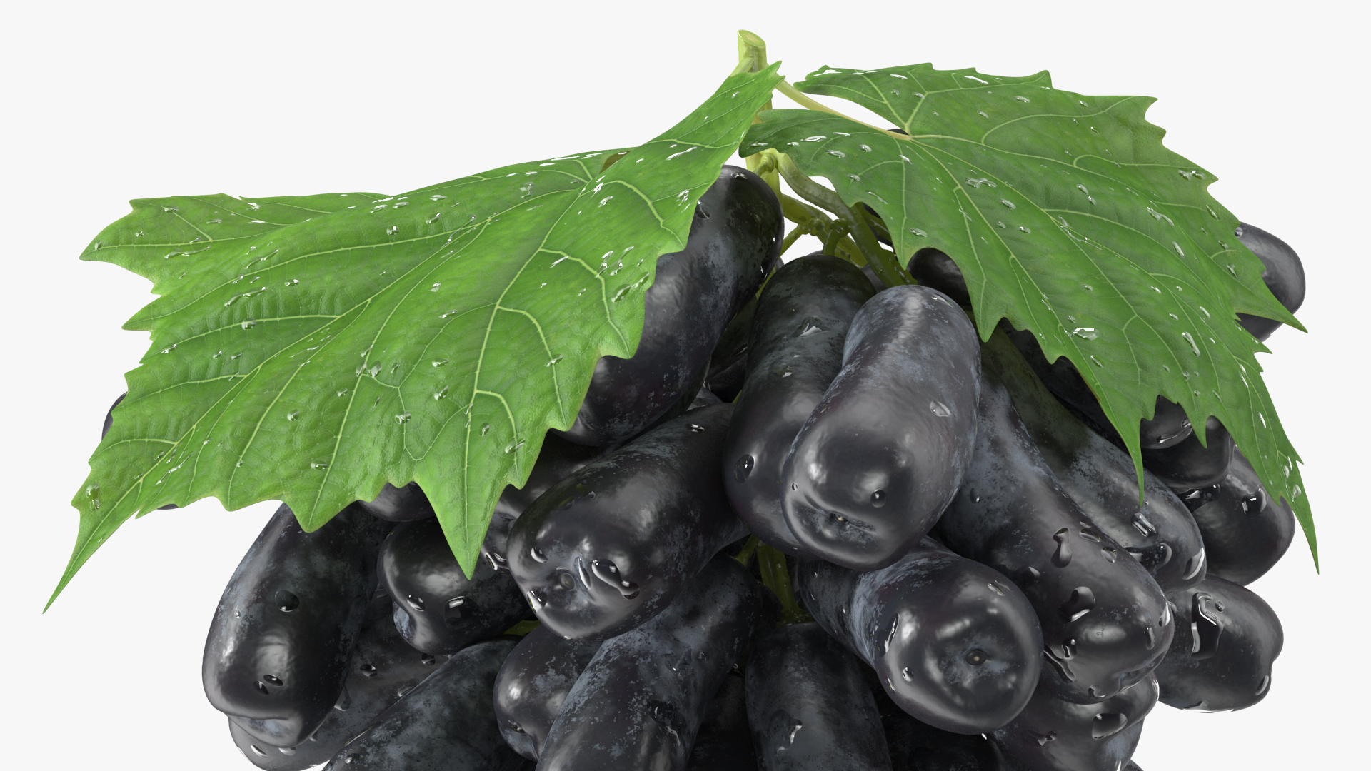 3D model Sweet Sapphire Grapes Wet with Leaf