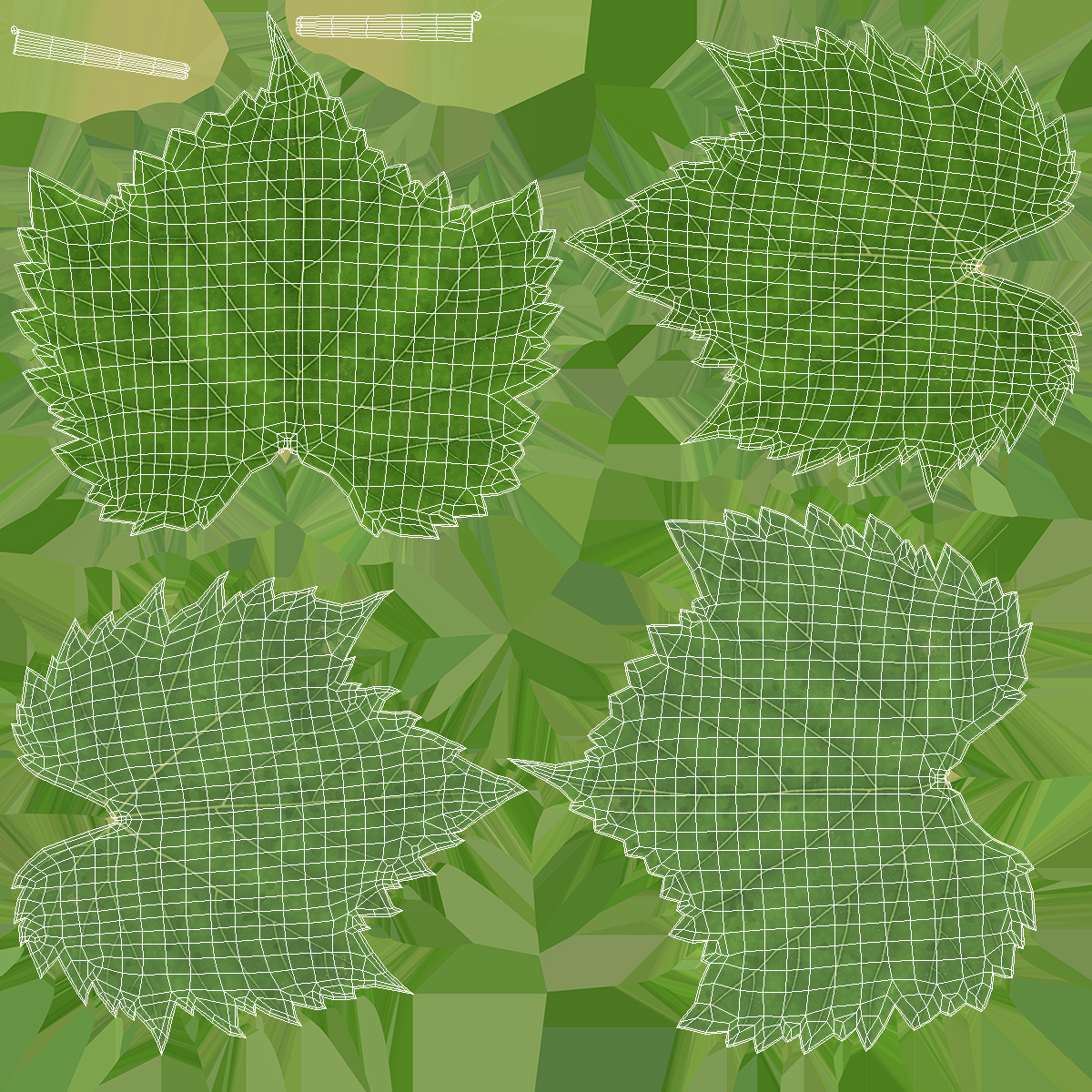 3D model Sweet Sapphire Grapes Wet with Leaf