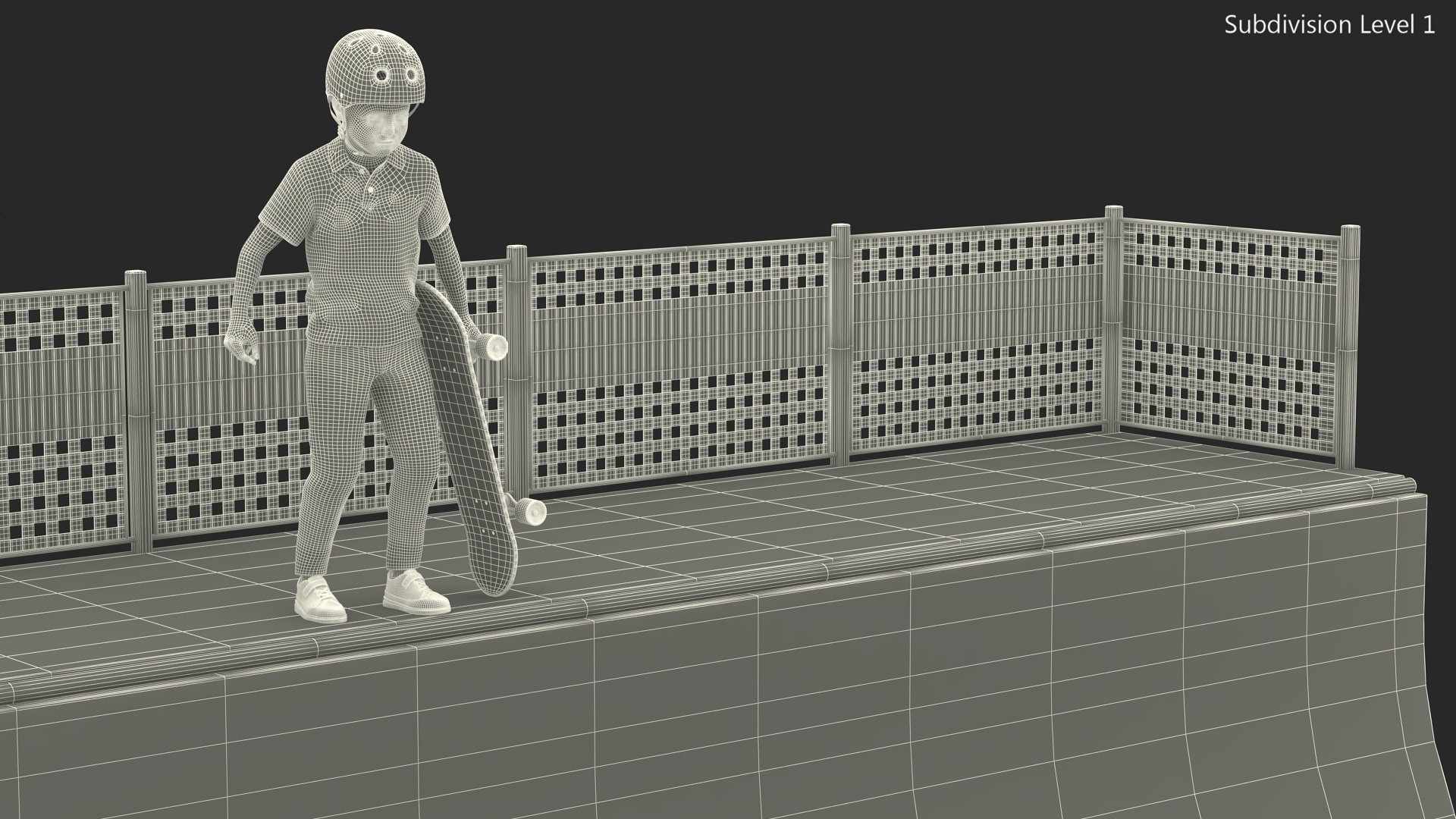 3D Skatepark Ramp and Skateboarder