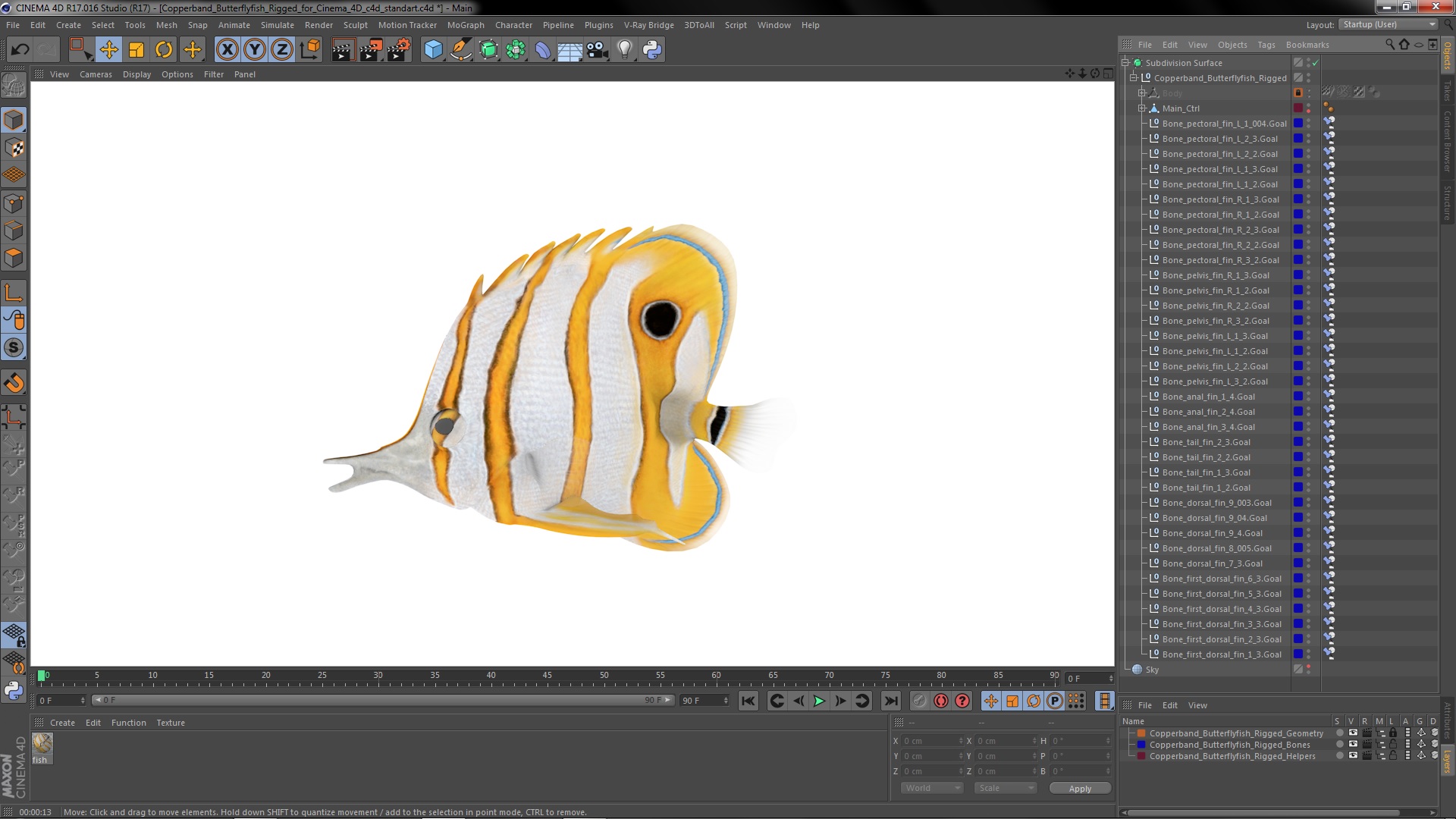 3D model Copperband Butterflyfish Rigged for Cinema 4D