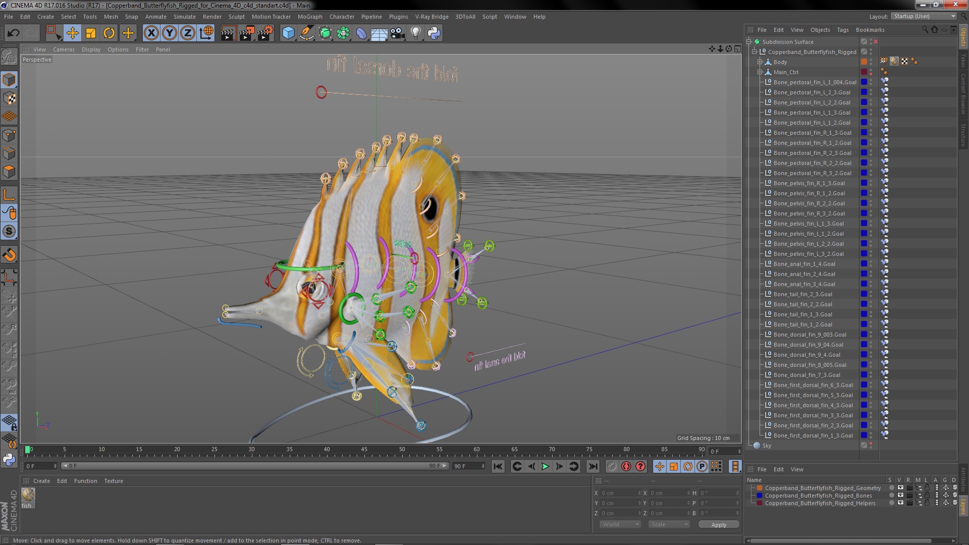 3D model Copperband Butterflyfish Rigged for Cinema 4D