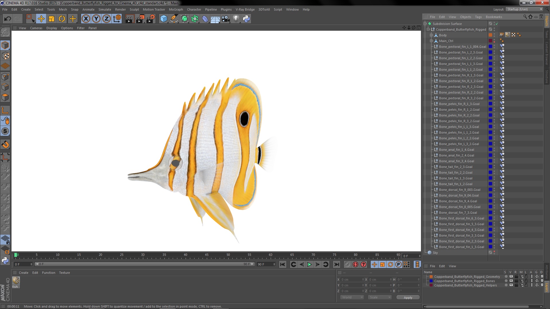 3D model Copperband Butterflyfish Rigged for Cinema 4D