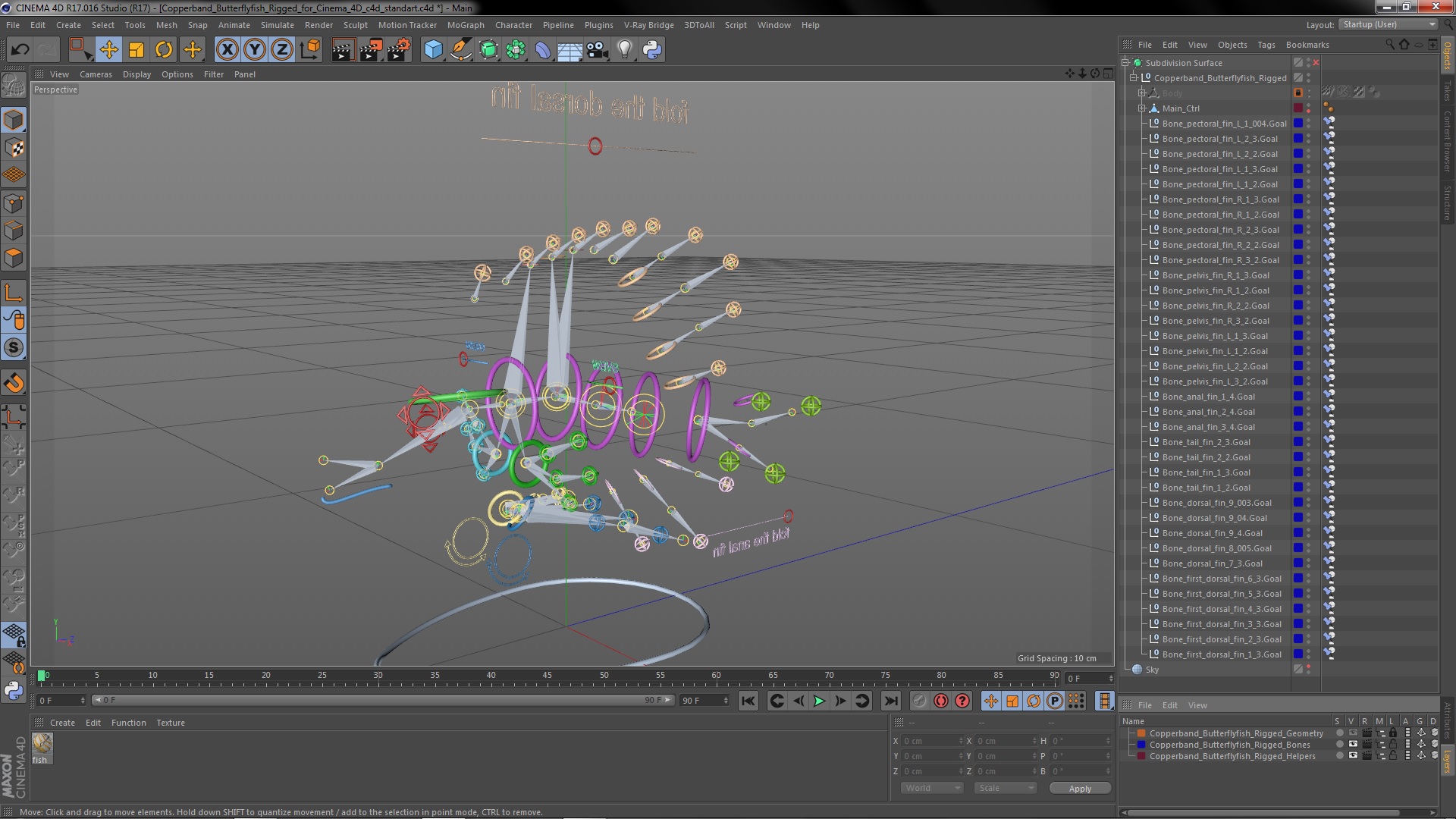 3D model Copperband Butterflyfish Rigged for Cinema 4D
