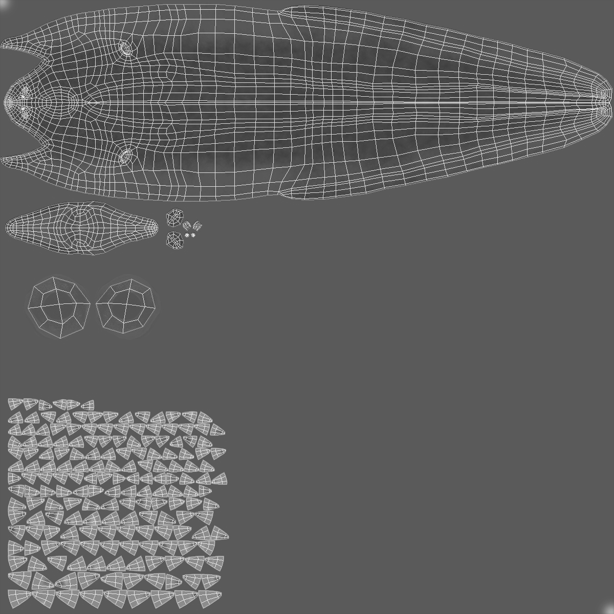 3D Murena Rigged model