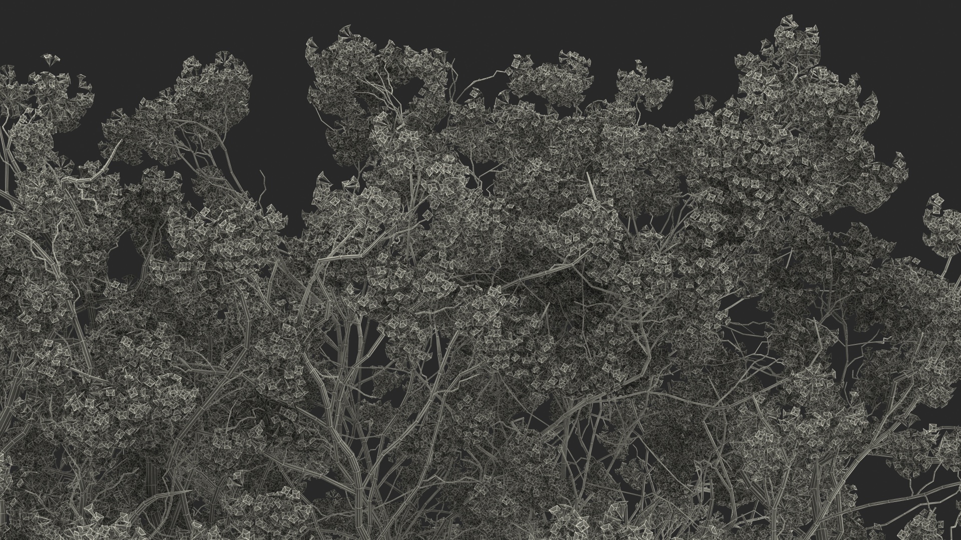 3D Blooming Jacaranda Tree without Leaves model