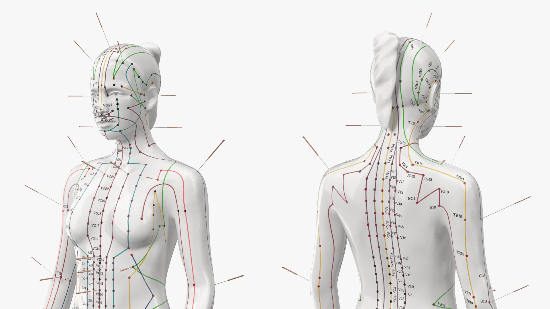 3D Female Acupuncture Mannequin on the Couch
