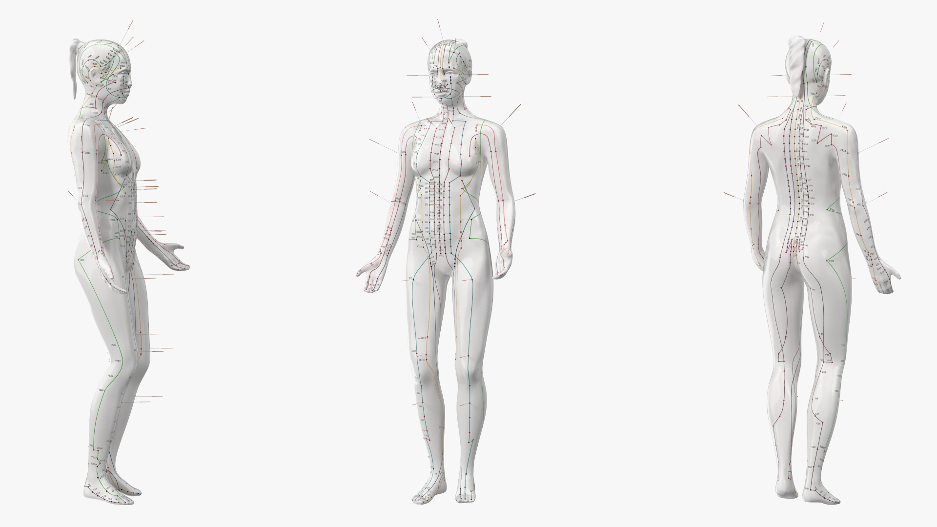 3D Female Acupuncture Mannequin on the Couch
