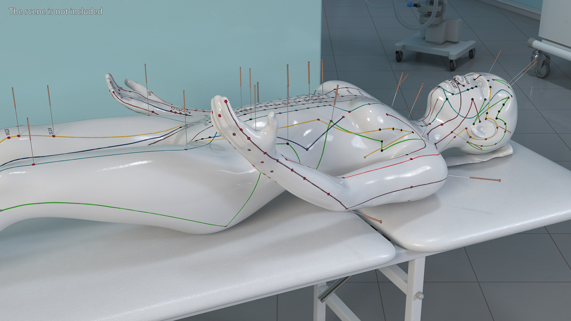 3D Female Acupuncture Mannequin on the Couch
