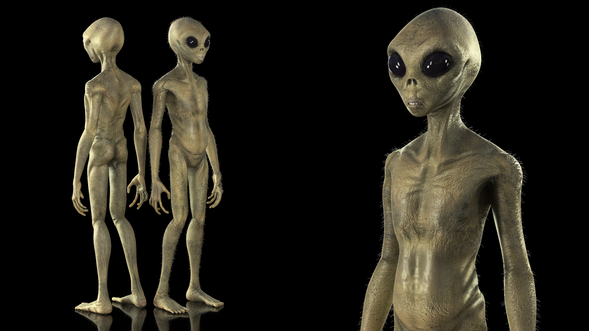 Humanoid Alien Standing Pose Fur 3D