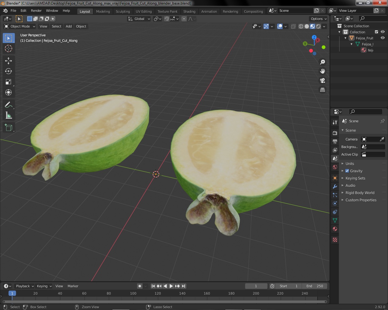 Feijoa Fruit Cut Along 3D