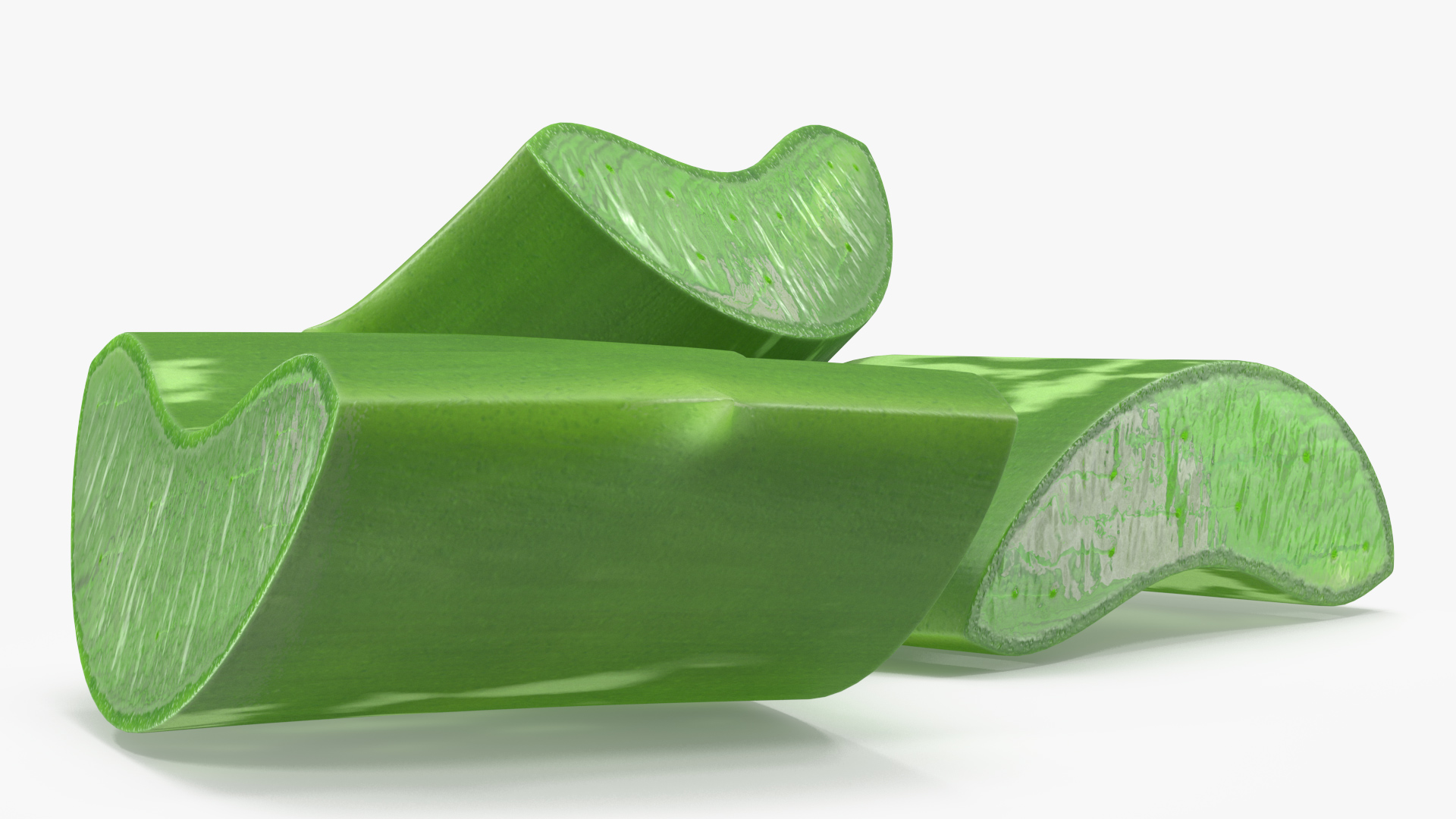3D Aloe Pieces