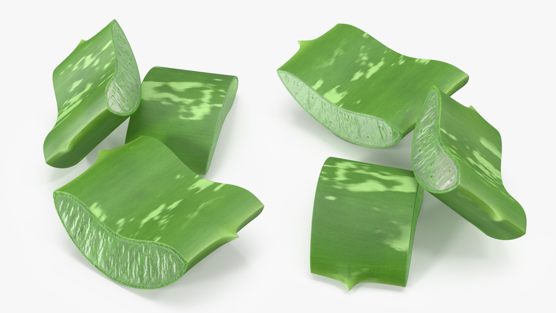 3D Aloe Pieces