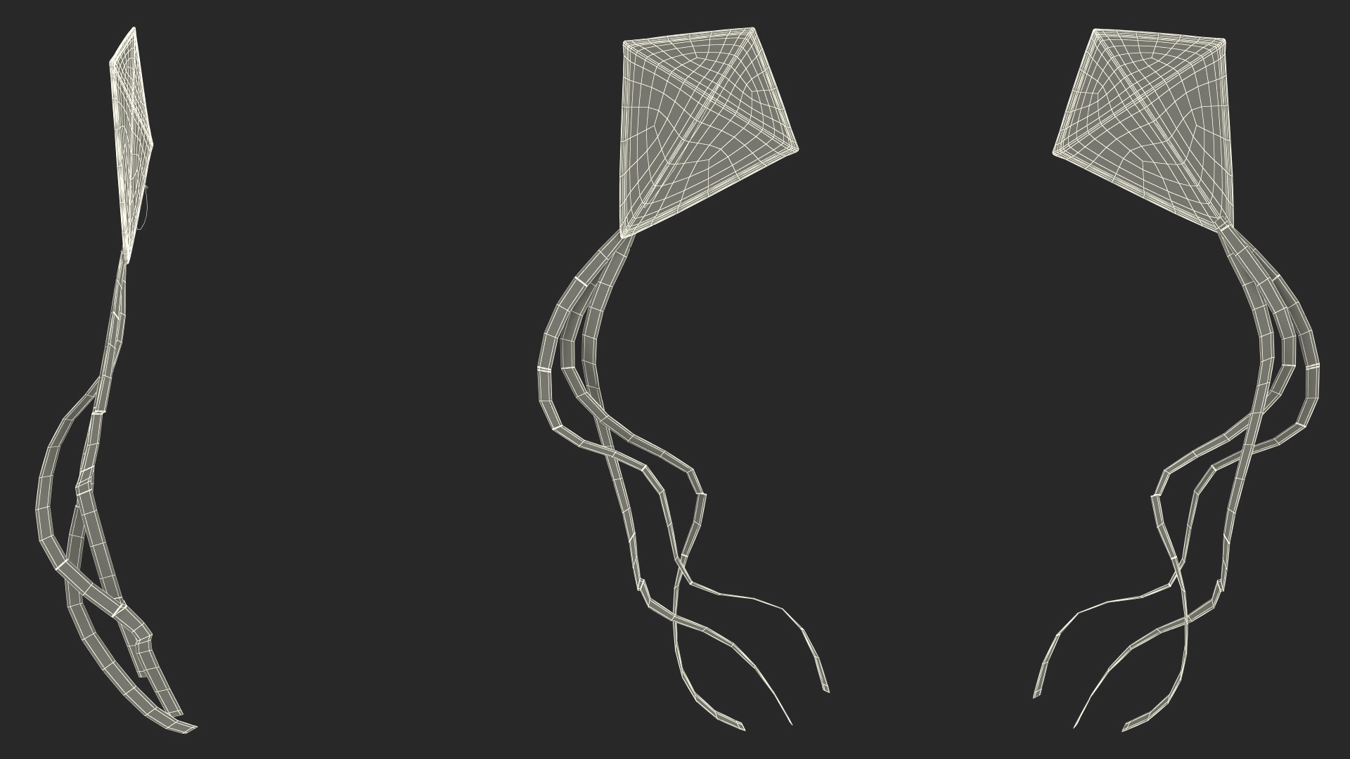 3D Kite Flying